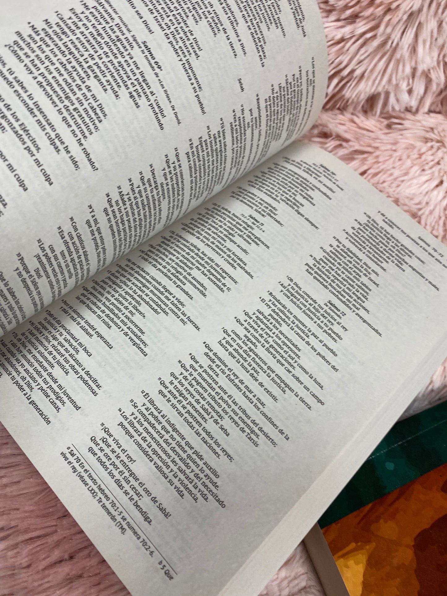 Biblias económicas tapa rústica papel imprenta versión NVI