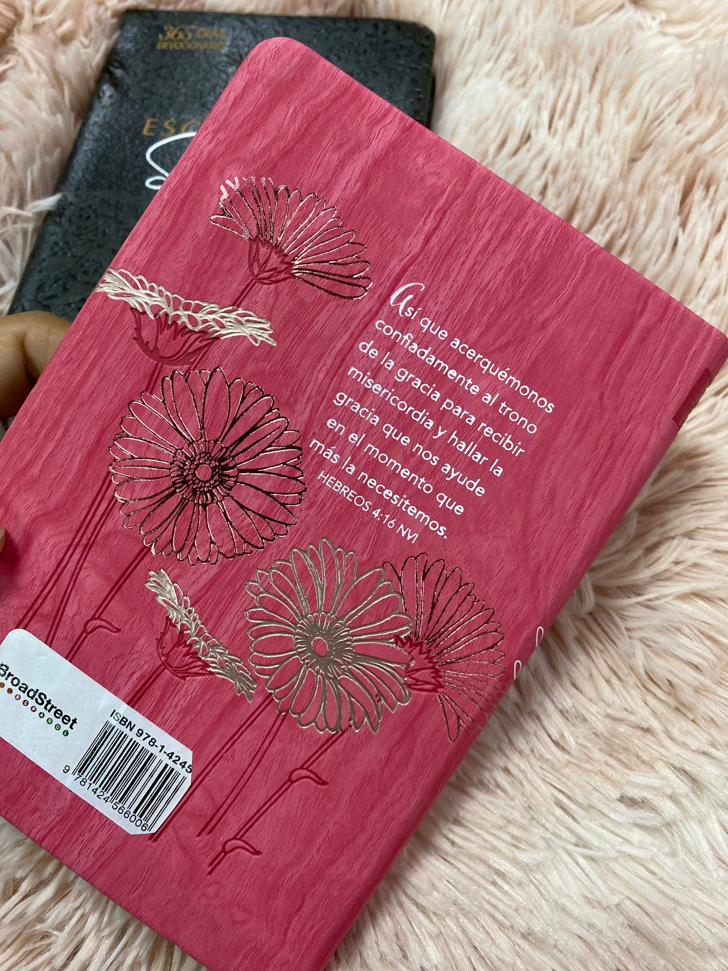 Libro devocional: señor soy yo de nuevo