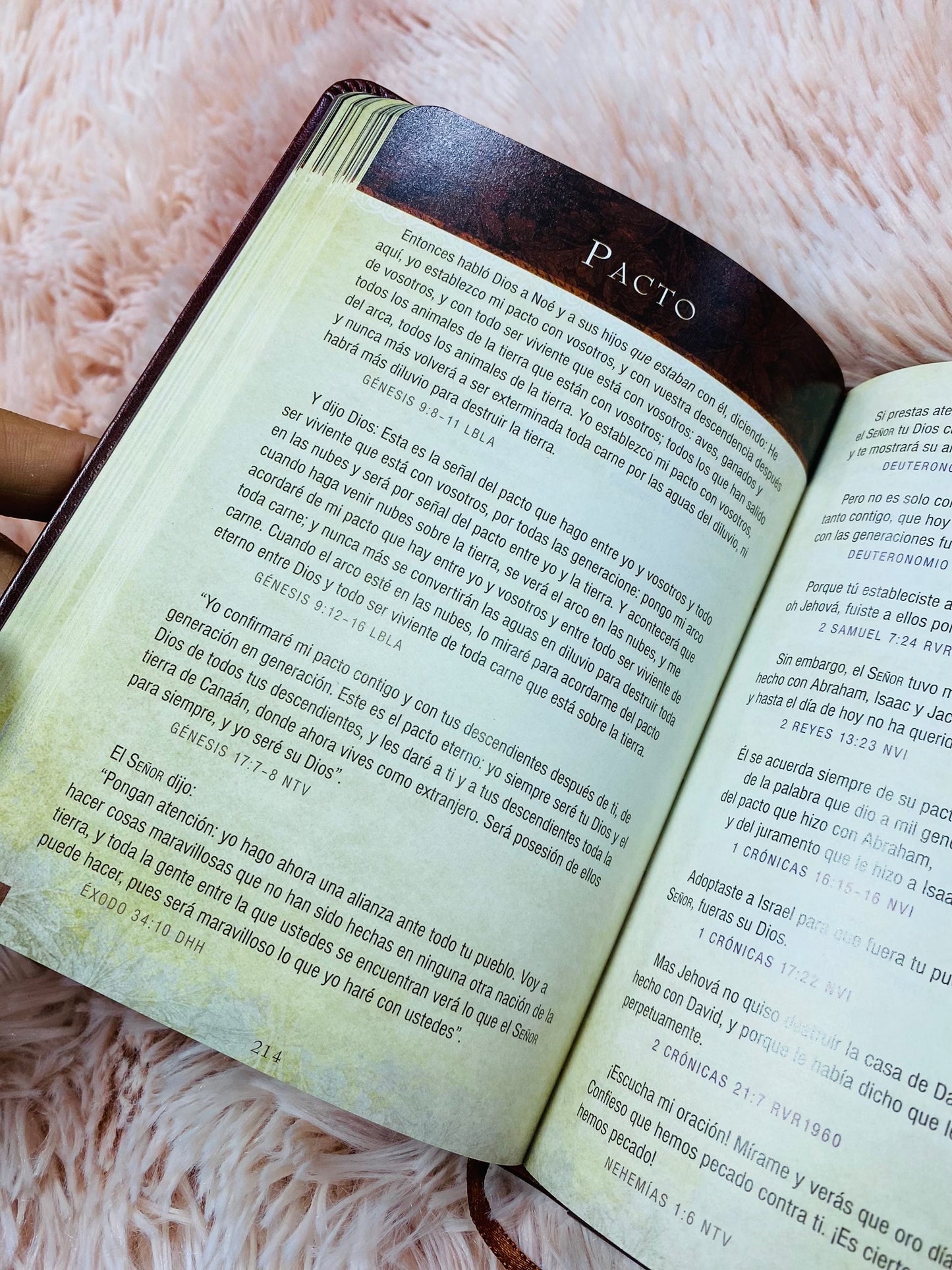 Libro devocional: promesas de la biblia para la vida