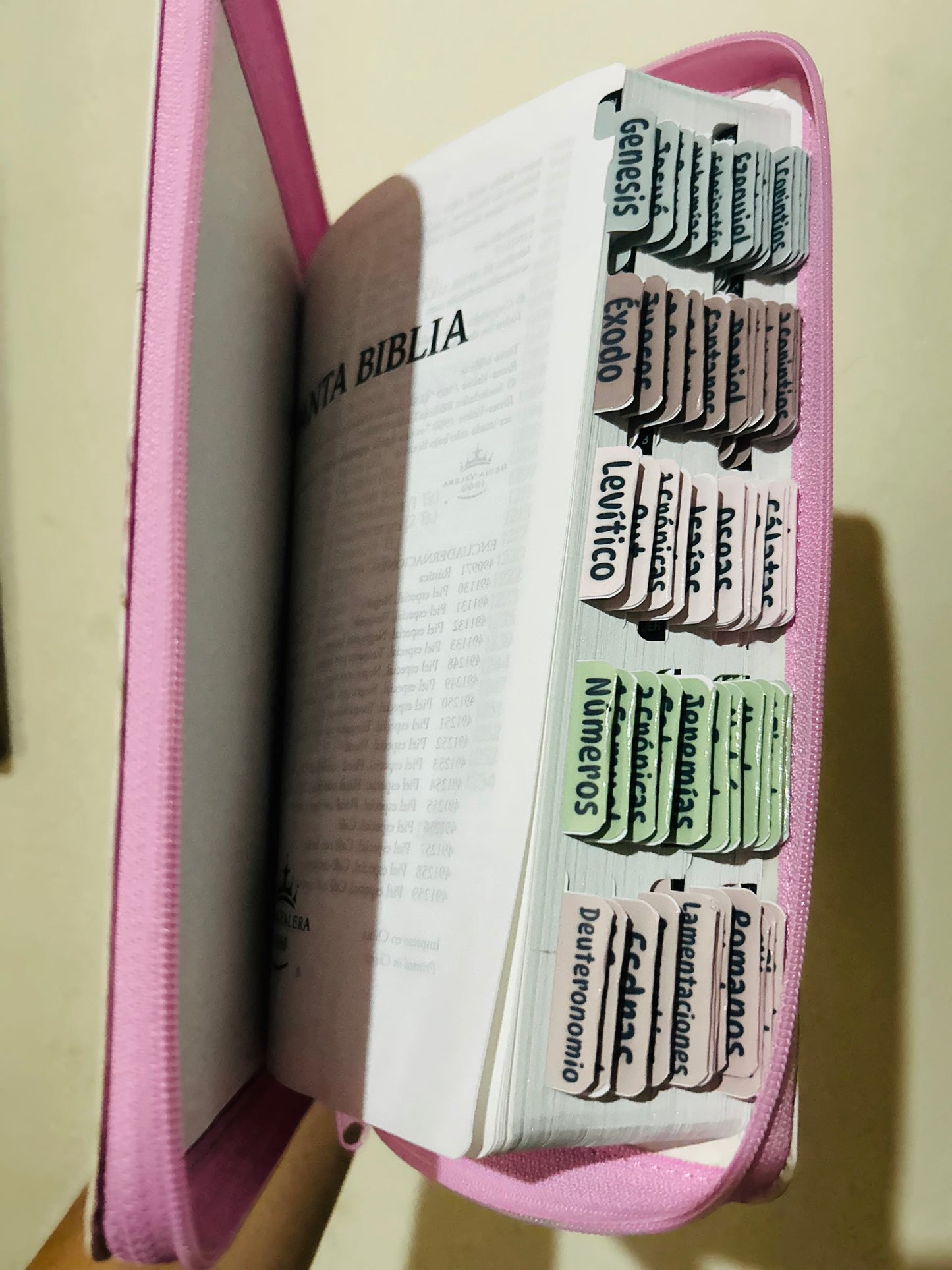 Biblia versión RV1960 de promesas letra gigante 13 puntos con cierre + personalizado