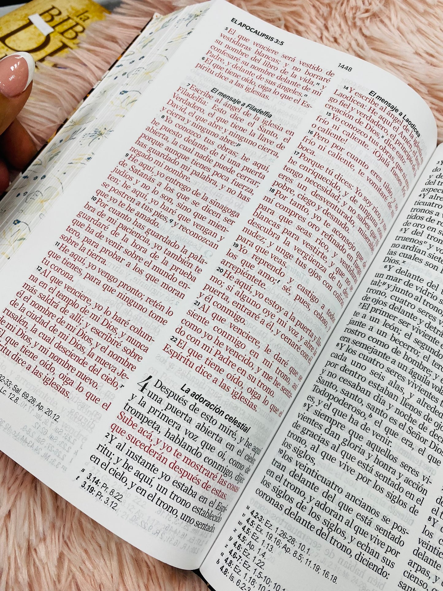 Biblia versión RV1960 de tapa dura diseño en relieve de letra grande 12 puntos con canto pintado, liga, palabras de Jesús en rojo con concordancia