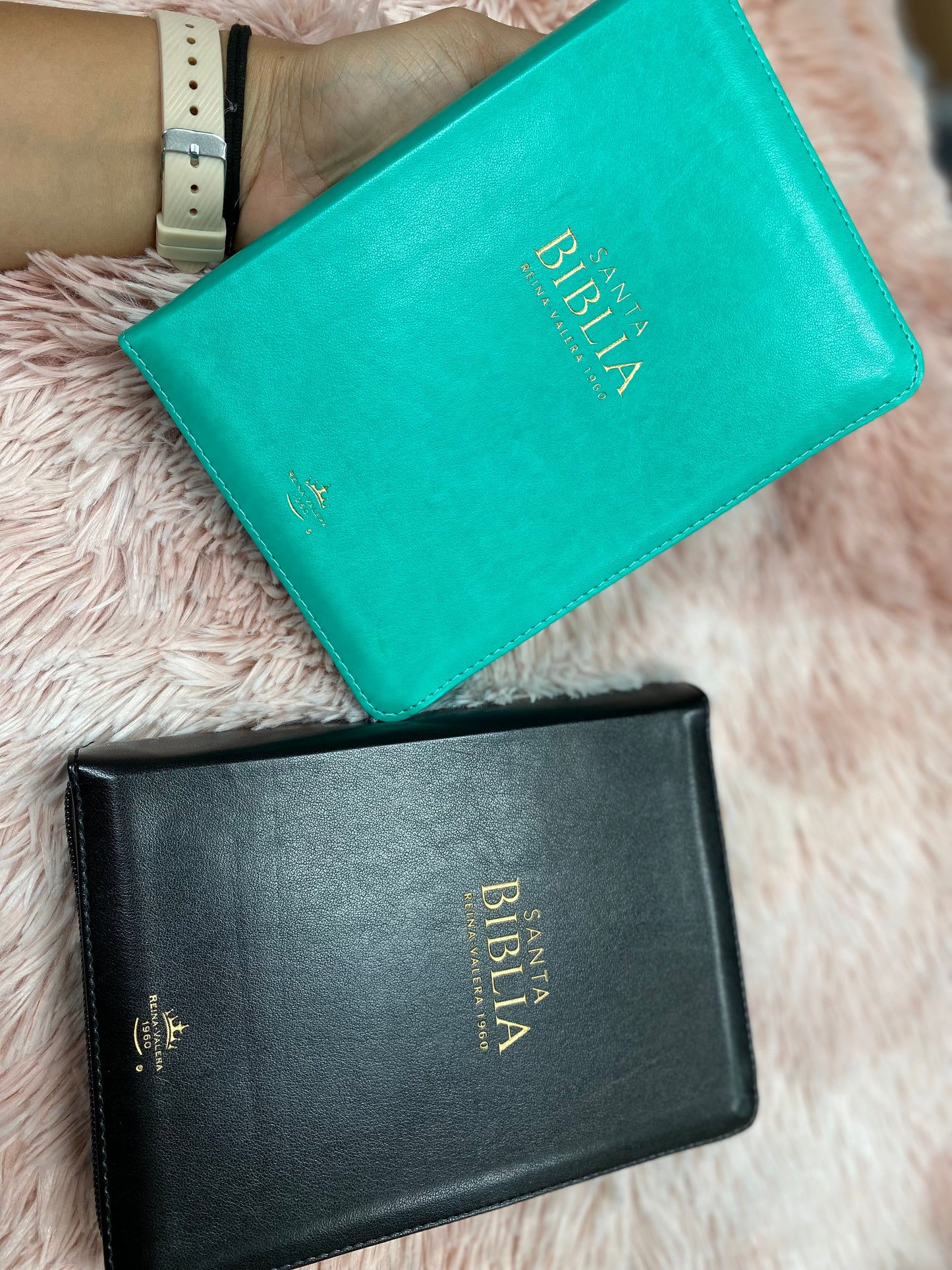 Biblia pequeña de letra grande 11 puntos con canto dorado y cierre versión RV1960 con concordancia