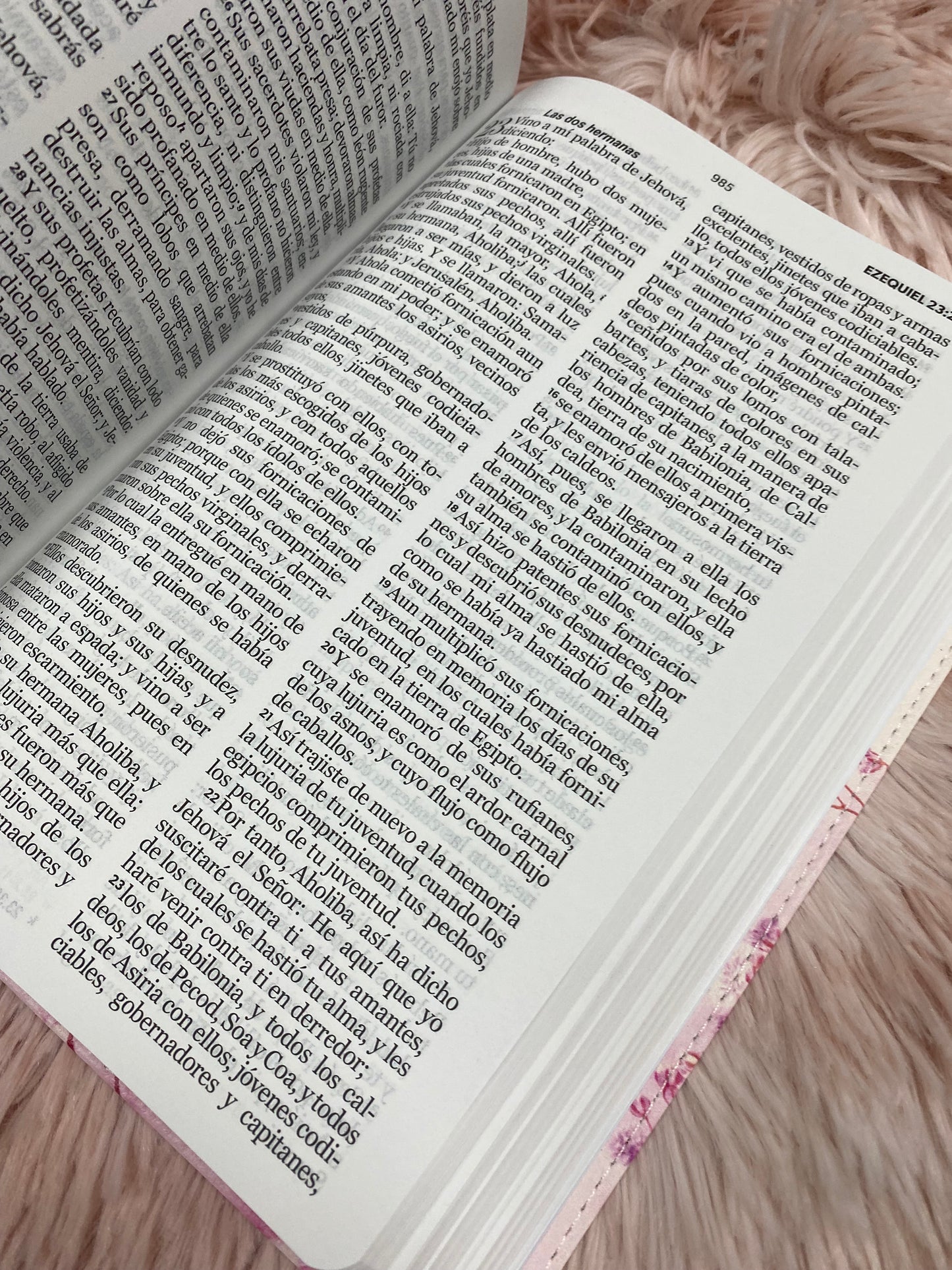Biblia letra grande 12 puntos tapa flexible versión RV1960 con concordancia
