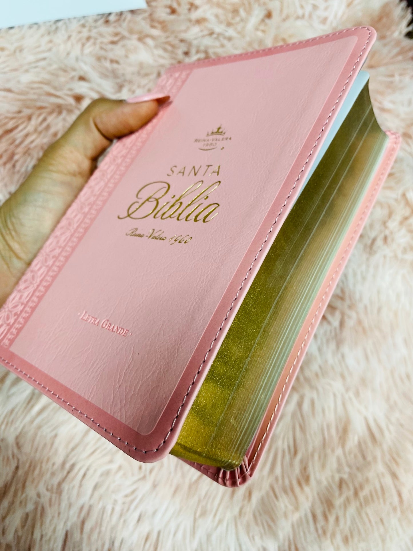 Biblia pequeña de letras grandes 12 puntos versión RV1960 canto dorado tapa flexible simil piel con concordancia
