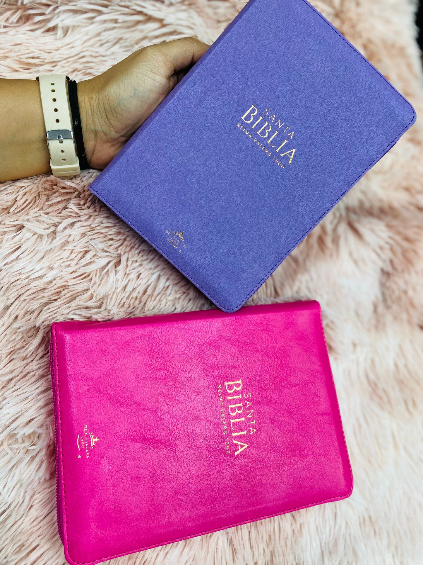 Biblia pequeña letra grande de 11 puntos con cierre y canto dorado versión RV1960 con concordancia