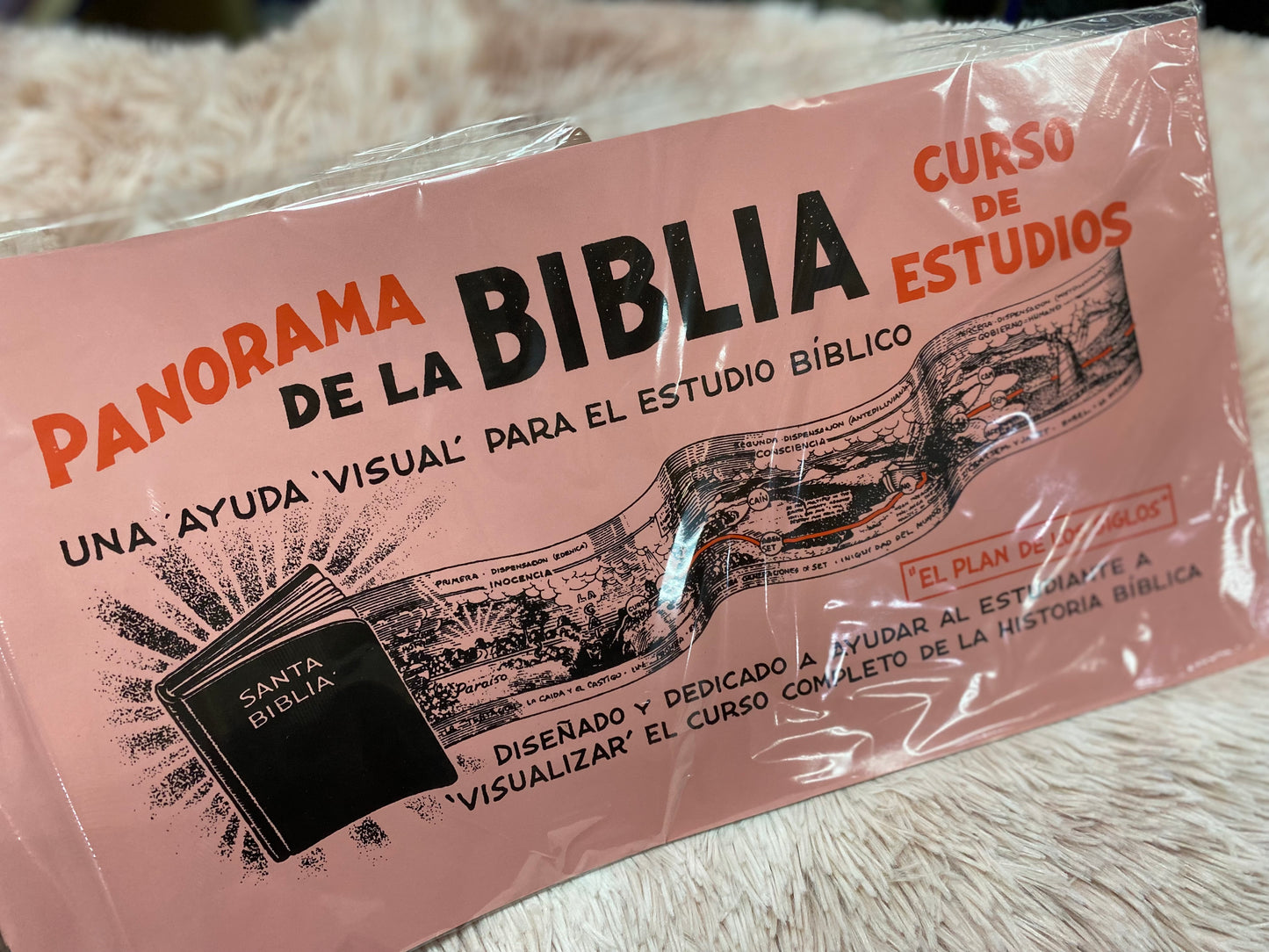 Panorama de la biblia curso de estudio