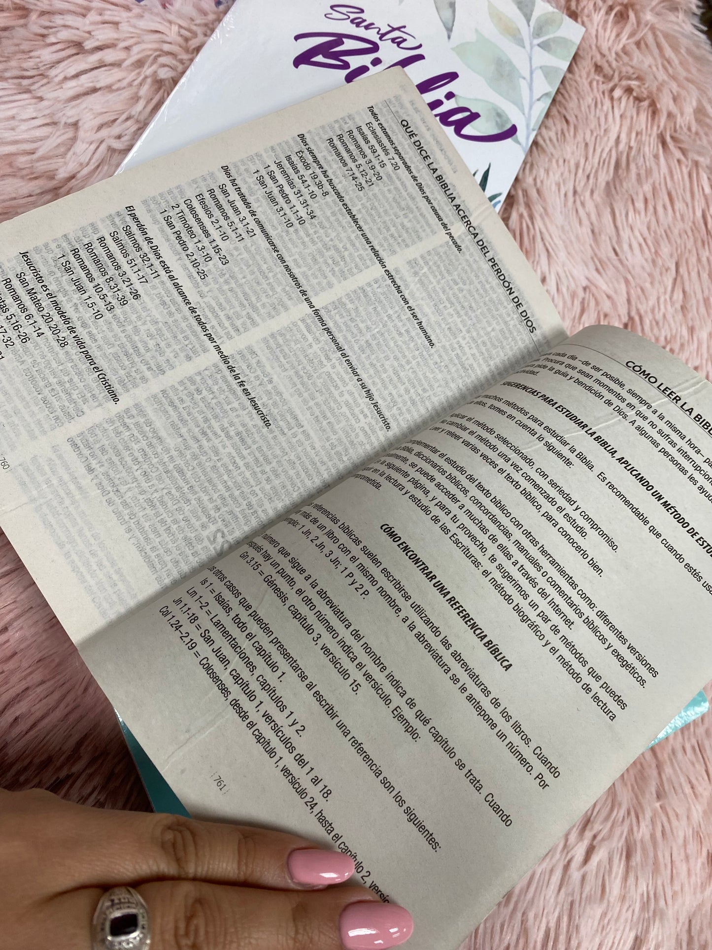 Biblias económicas tapa rústica papel imprenta versión RV1960
