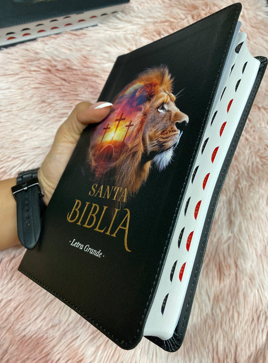 Biblia letra grande 12 puntos tapa flexible versión RV1960 con índice y con concordancia