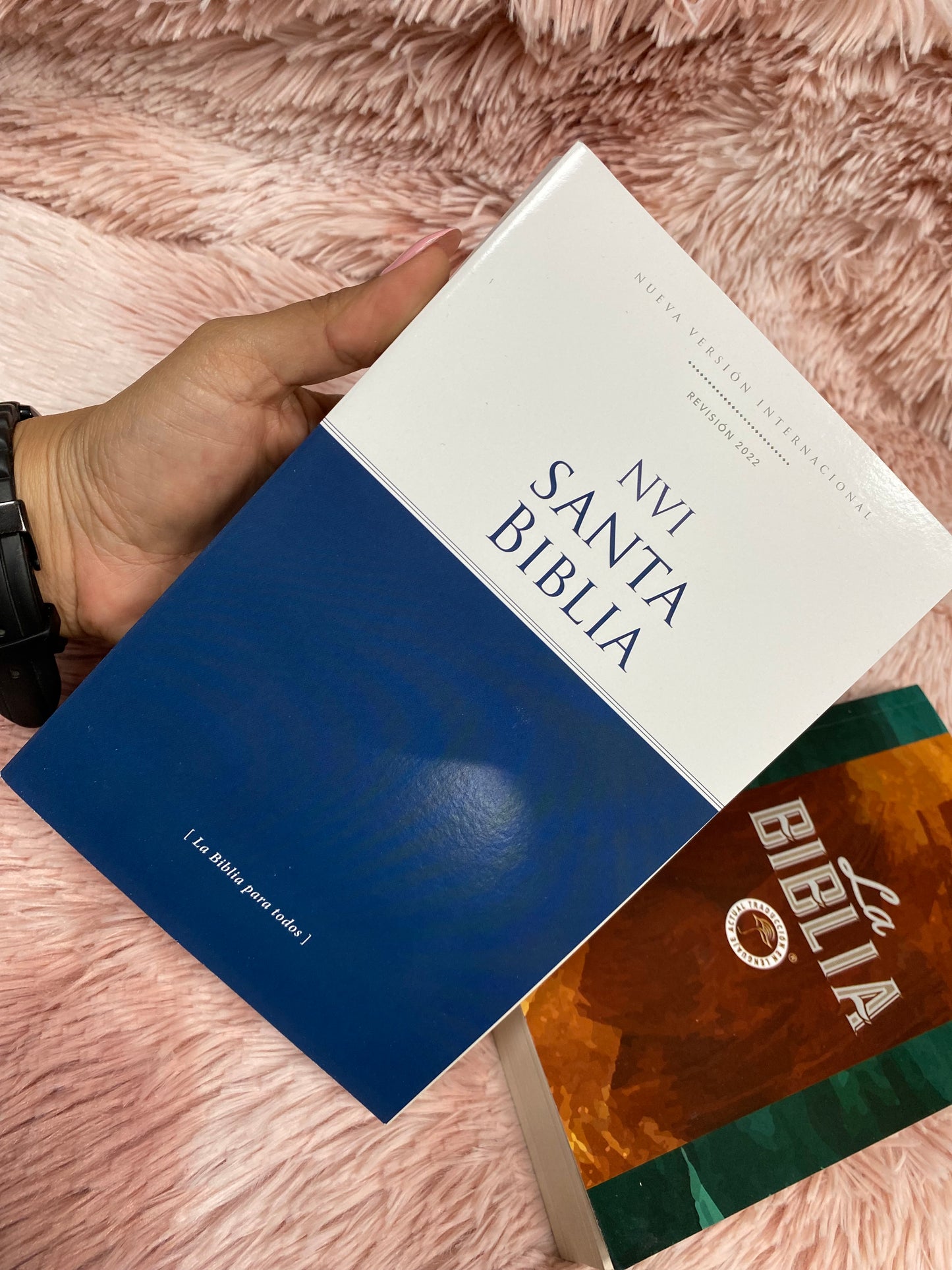 Biblias económicas tapa rústica papel imprenta versión NVI