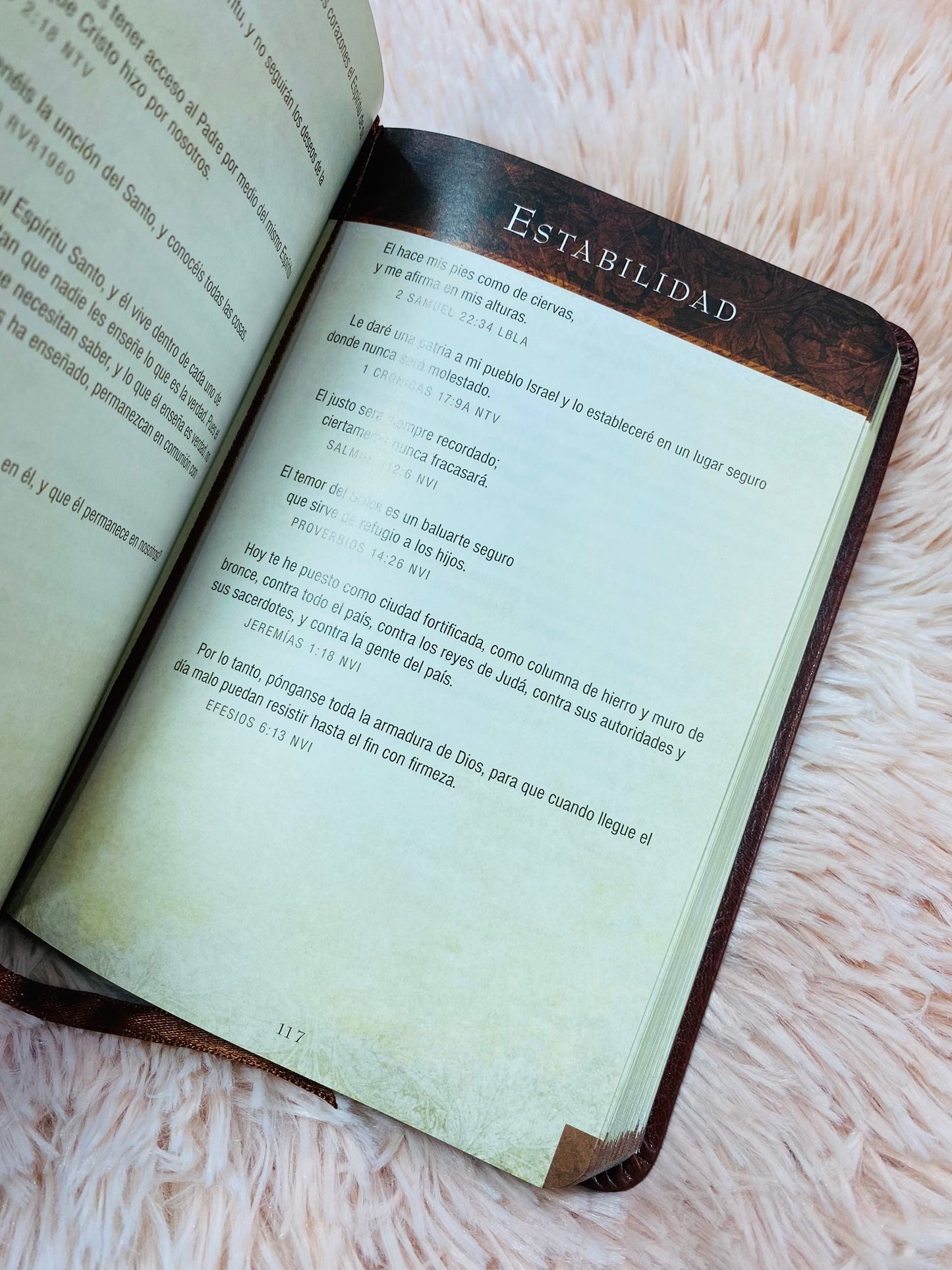 Libro devocional: promesas de la biblia para la vida