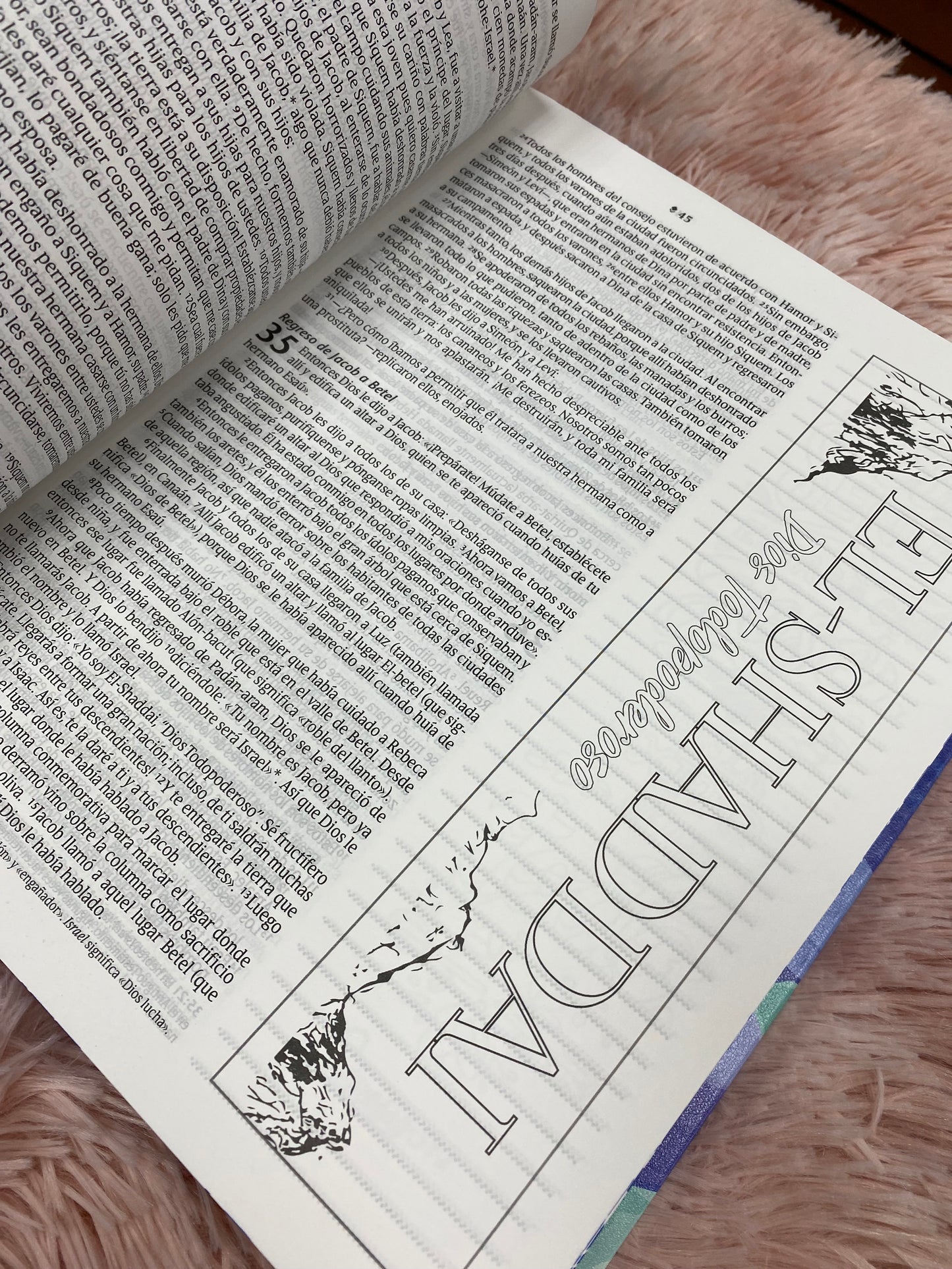 Biblia inspira artística versión NTV de letra grande