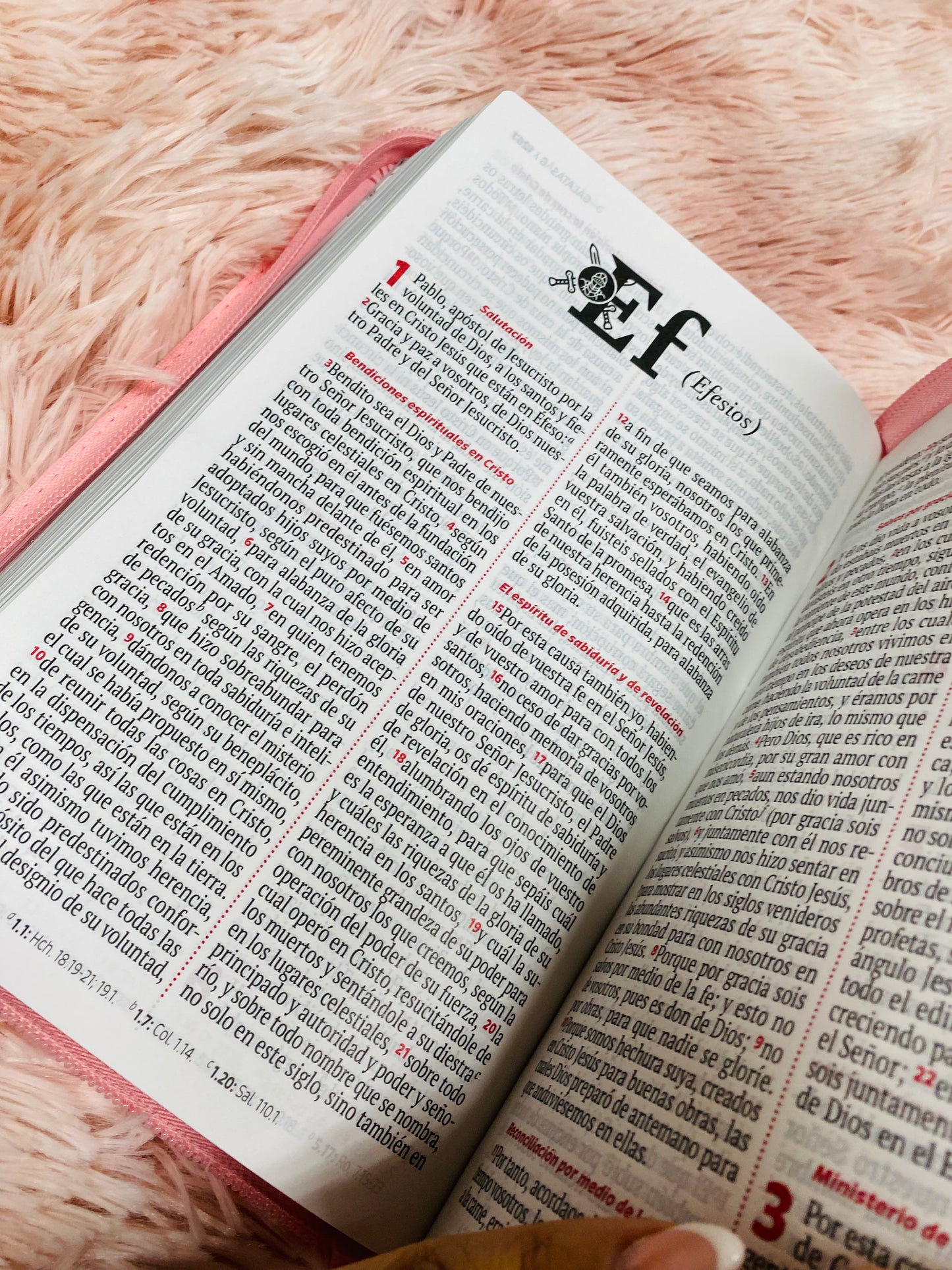 Biblia sirve y lidera letra grande 12 puntos versión RV1960 con cierre canto plateado