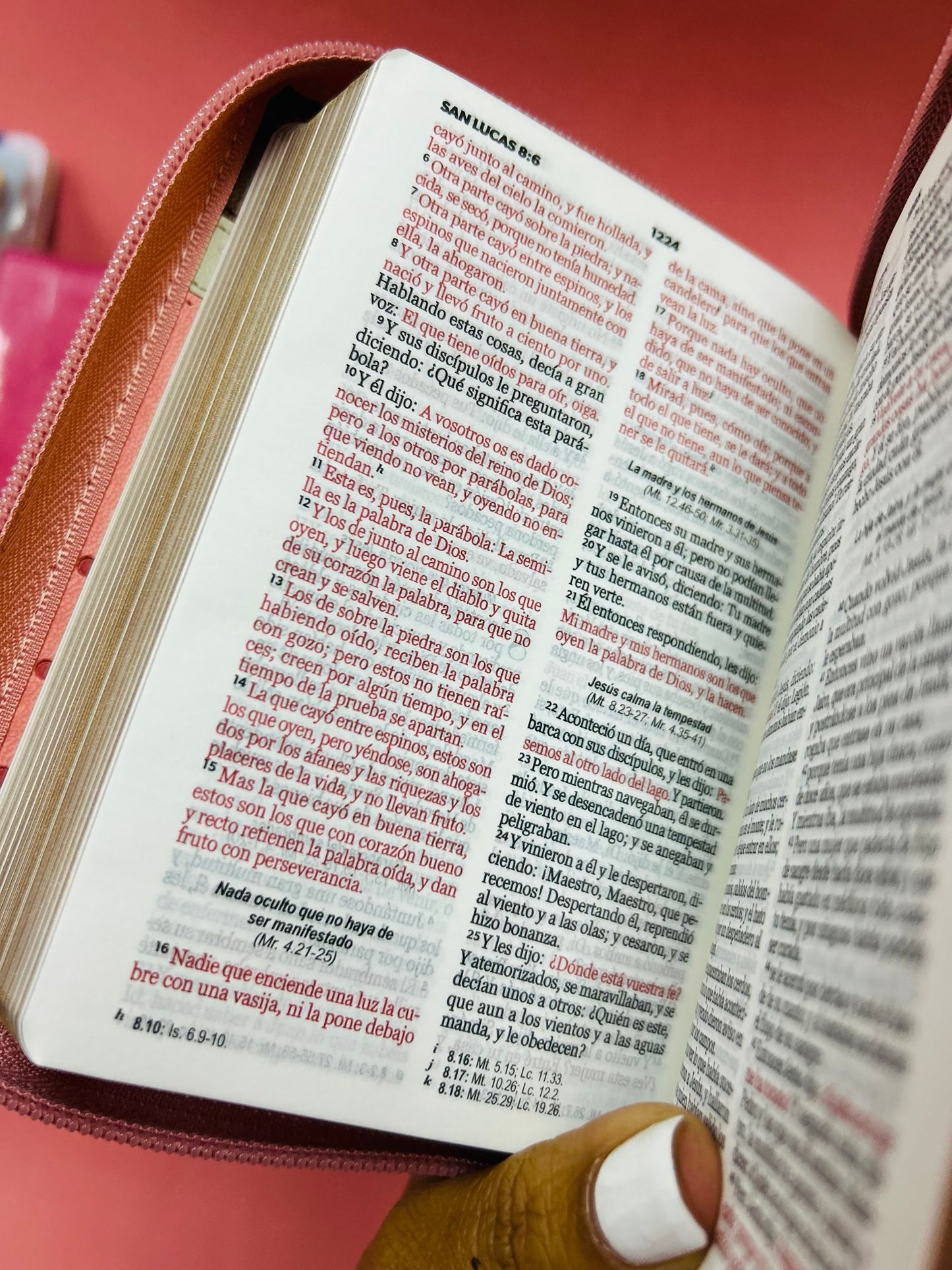 Biblia tamaño bolsillo letra 8 puntos con cierre símil piel versión RV60 con concordancia