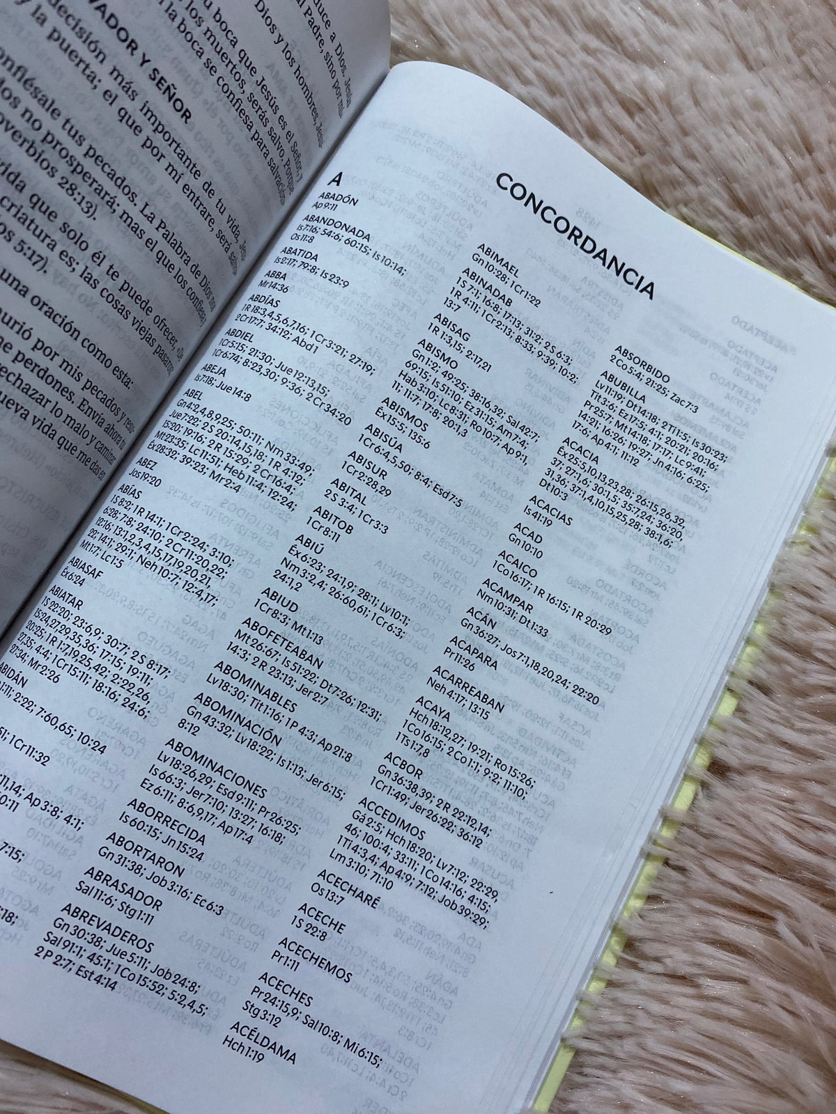 Biblia tapa dura letra grande versión RV1960 con concordancia papel blanco