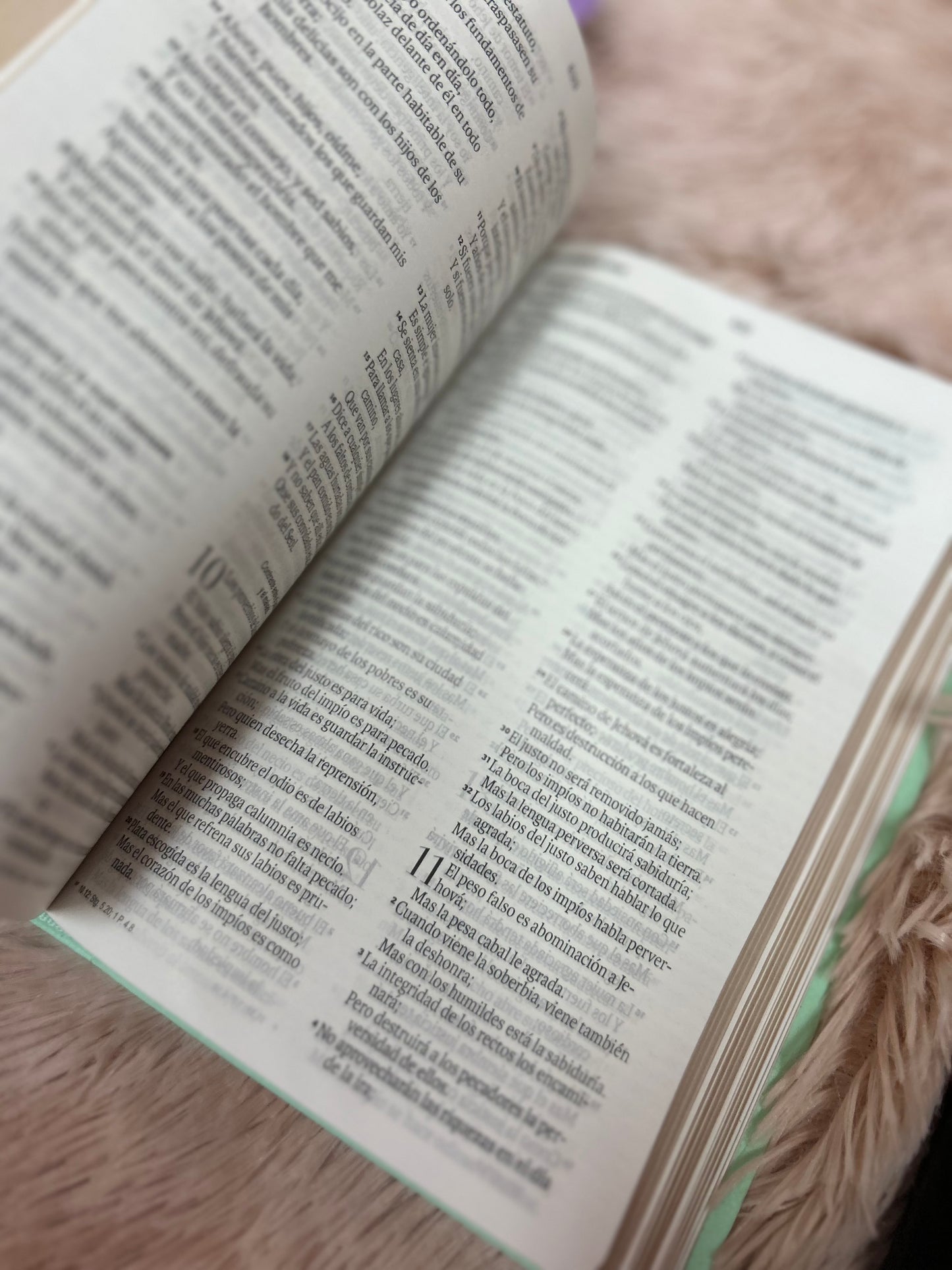 Biblia de letra grande 11,5 puntos en símil piel canto pintado palabras de Jesús en rojo y concordancia