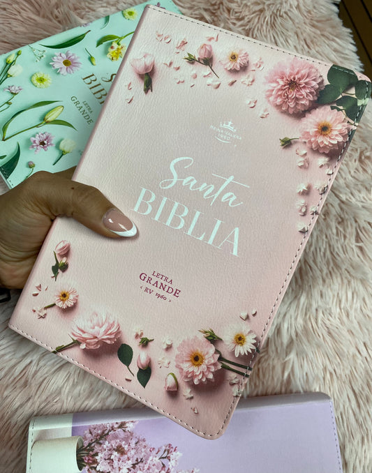Biblia letra grande 12 puntos tapa flexible versión RV1960 con índice y con concordancia