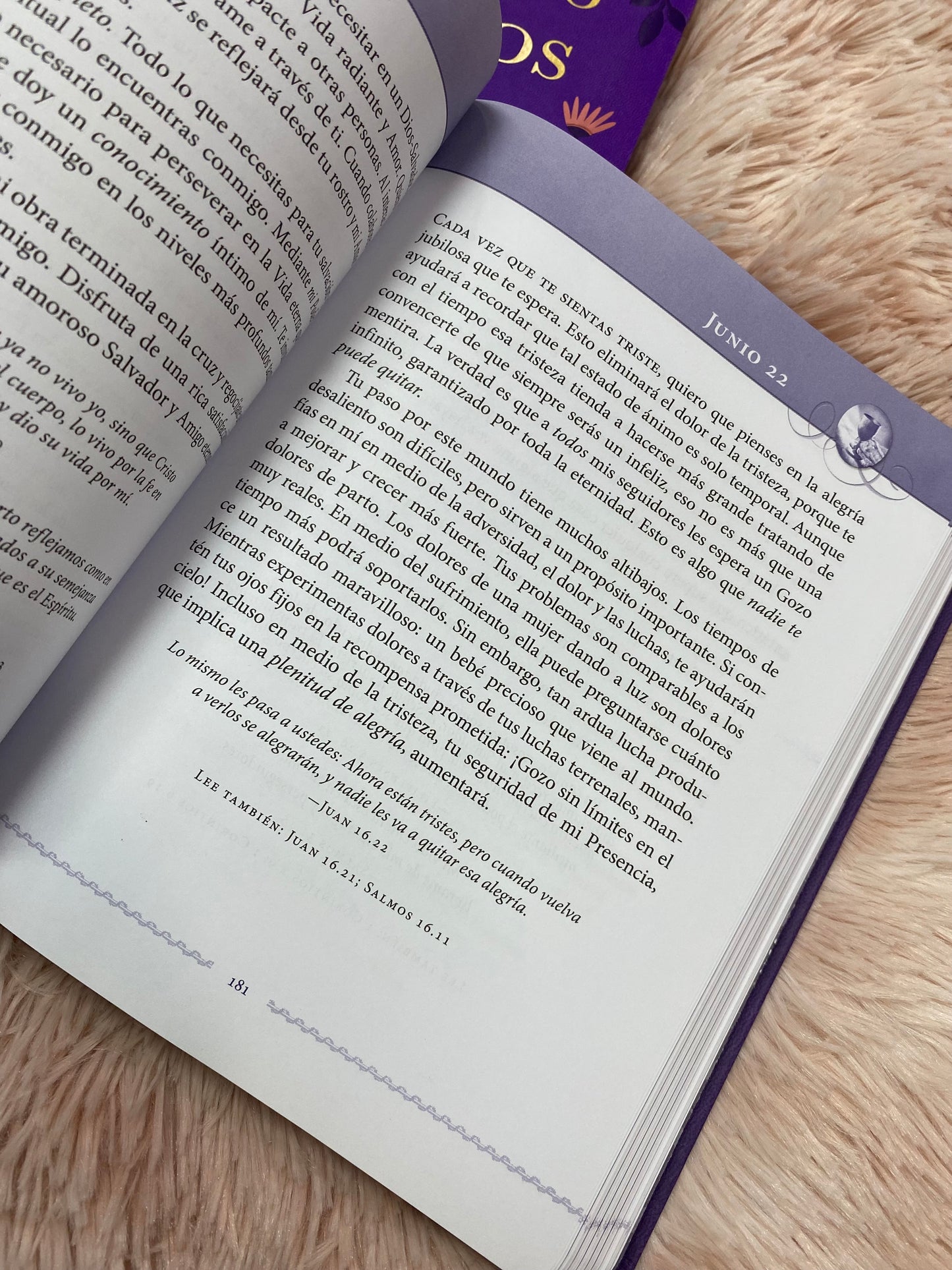 Libro devocional: Jesús siempre, descubre el gozo en su presencia