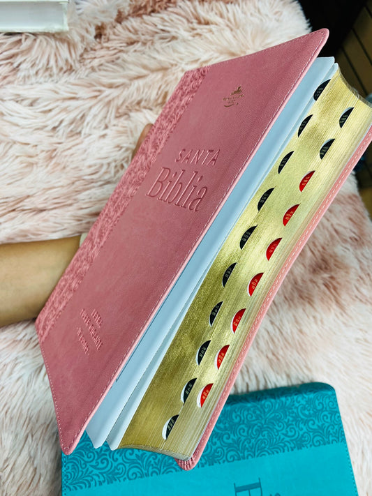 Biblia letra extra gigante 19 puntos con canto plateado e índice símil piel y concordancia