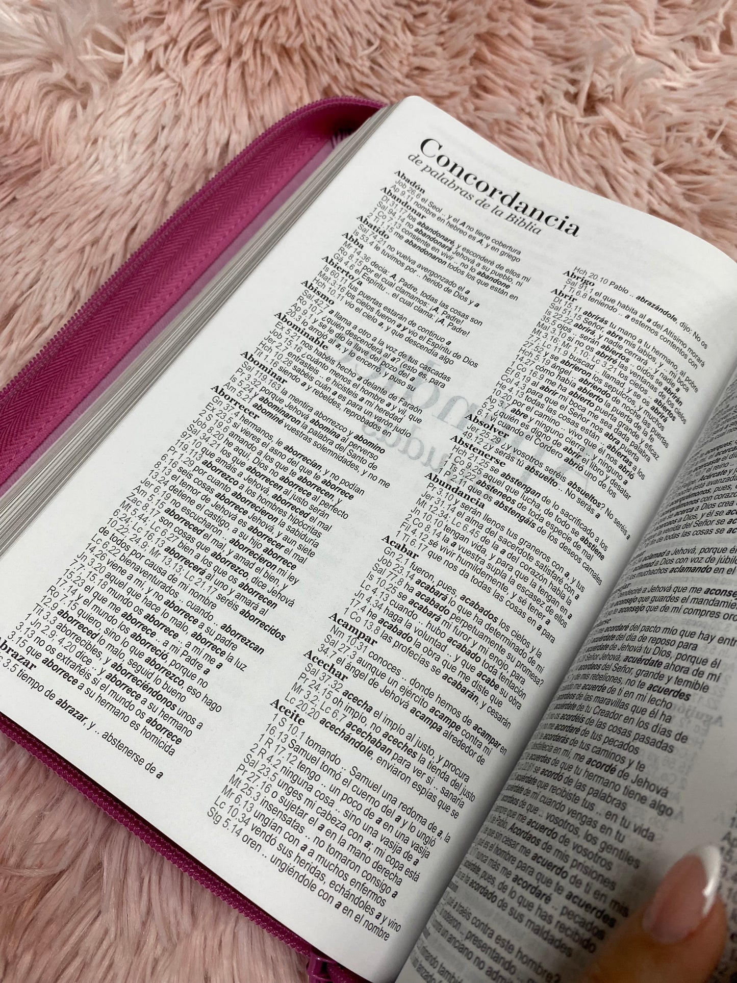 Biblia símil piel letra gigante 14 puntos con cierre y canto dorado versión RV1960 y concordancia