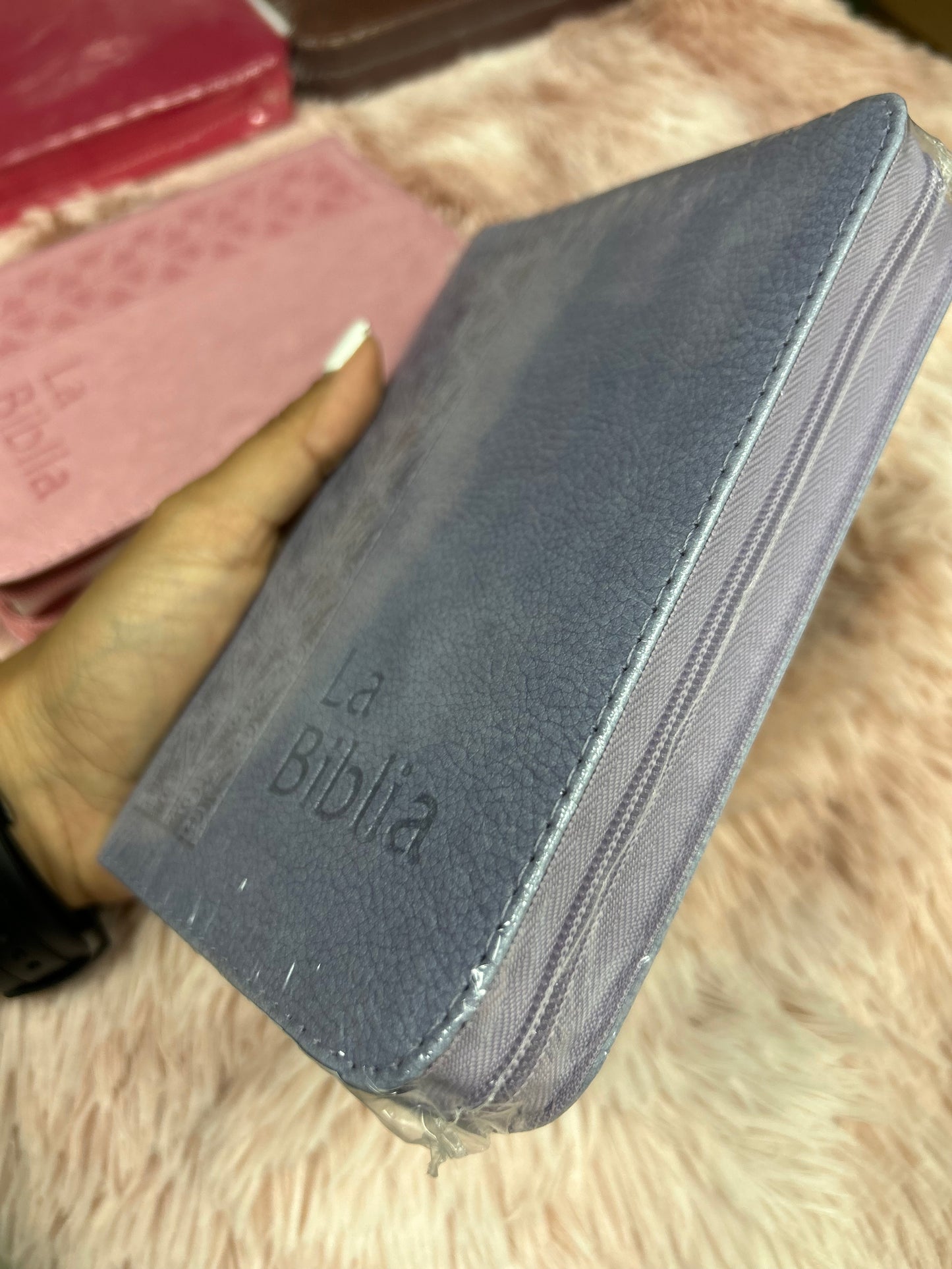 Biblia mediana tamaño compacta con cierre versión TLA letras grandes canto pintado