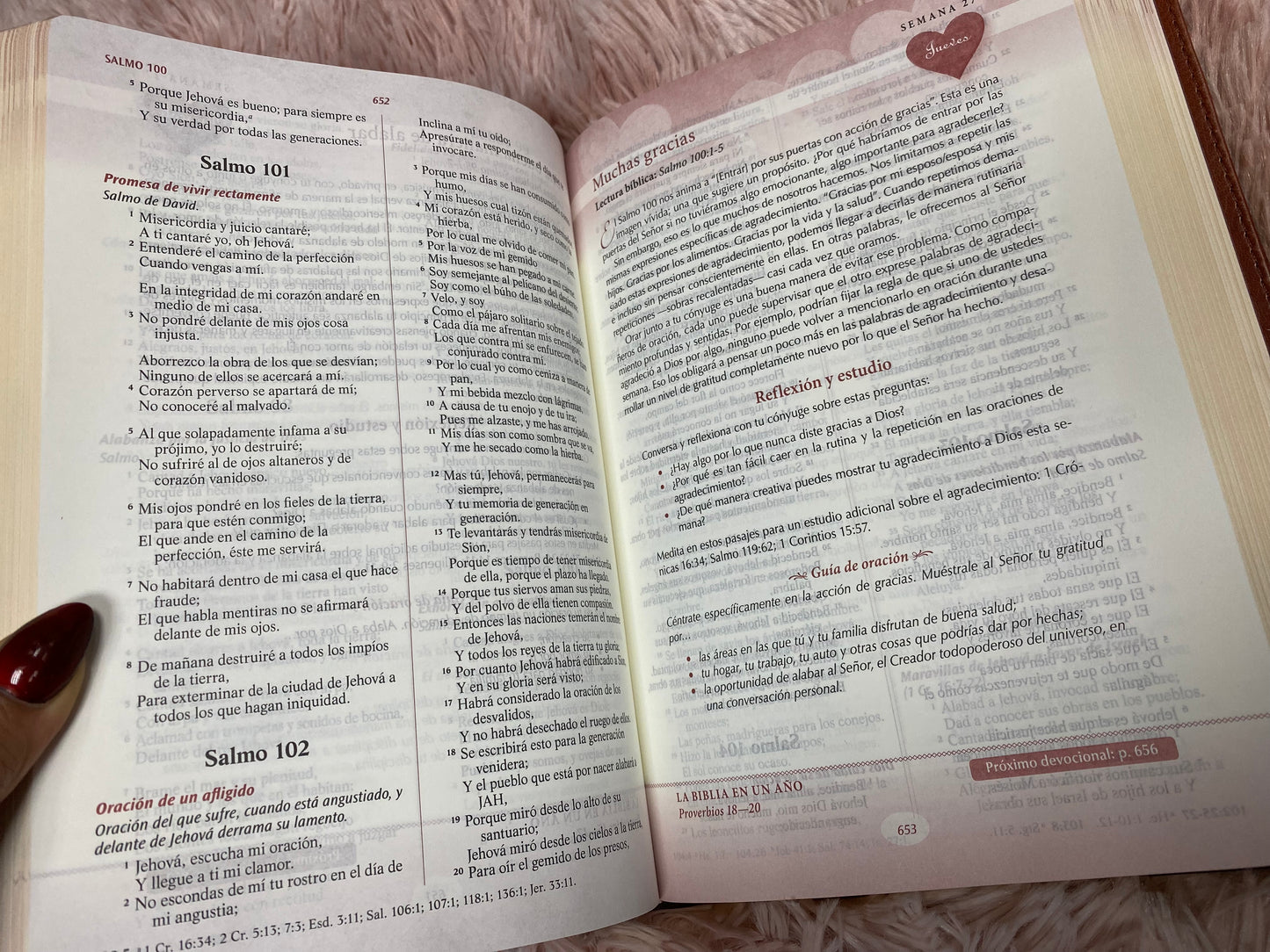 Biblia devocional los lenguajes del amor de Gary Chapman versión RV1960