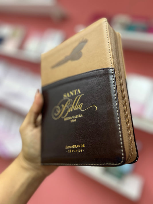 Biblia letra grande 11 puntos con cierre e índice versión RV1960 canto dorado palabras de Jesús en rojo beige y marrón águila