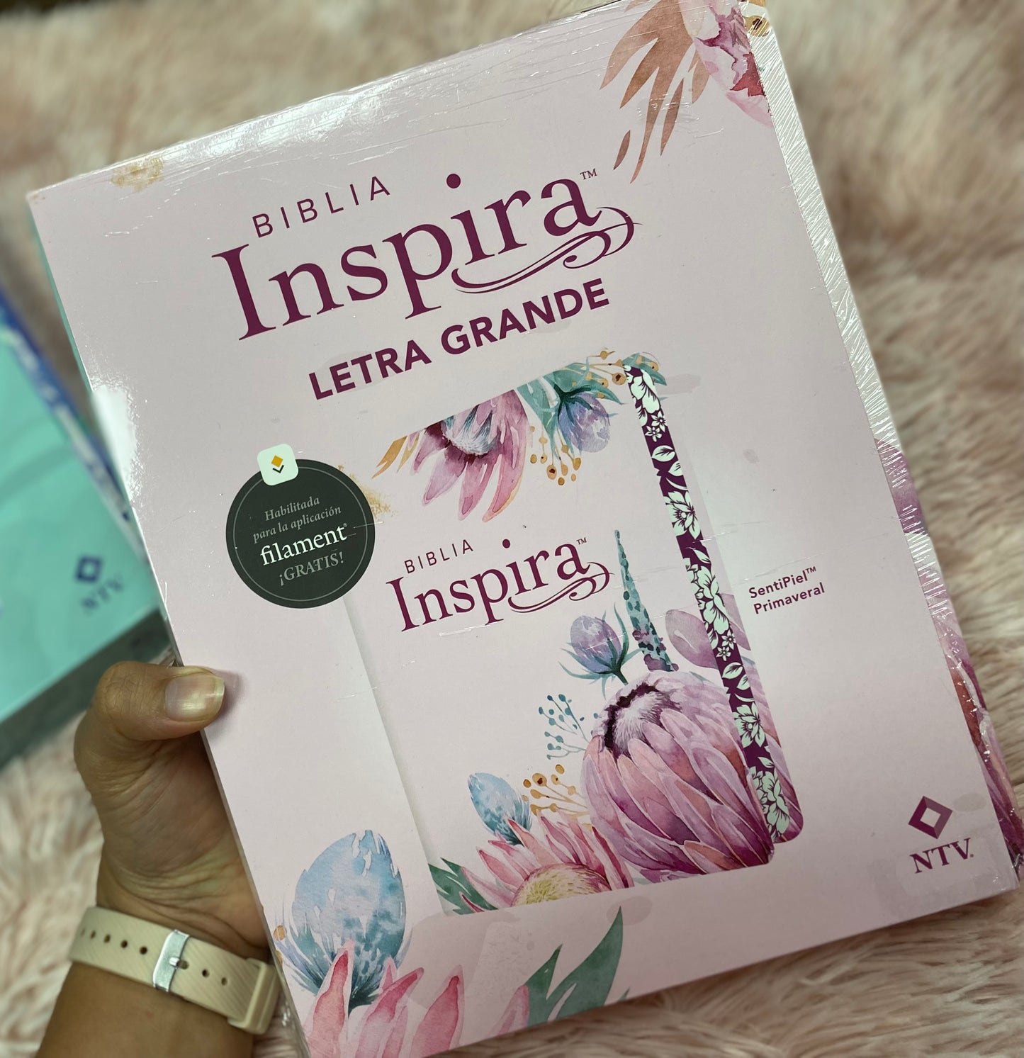 Biblia inspira artística versión NTV de letra grande