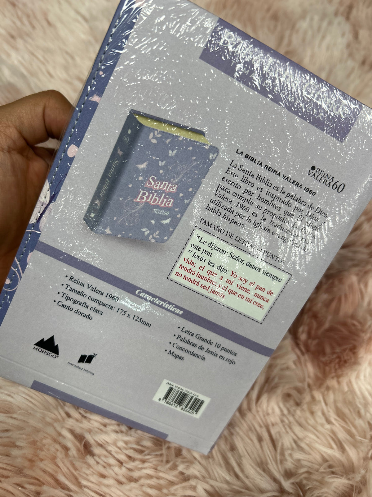 Biblia versión RV1960 tamaño compacta letra grande 10 puntos palabras de Jesús en rojo canto dorado semi piel