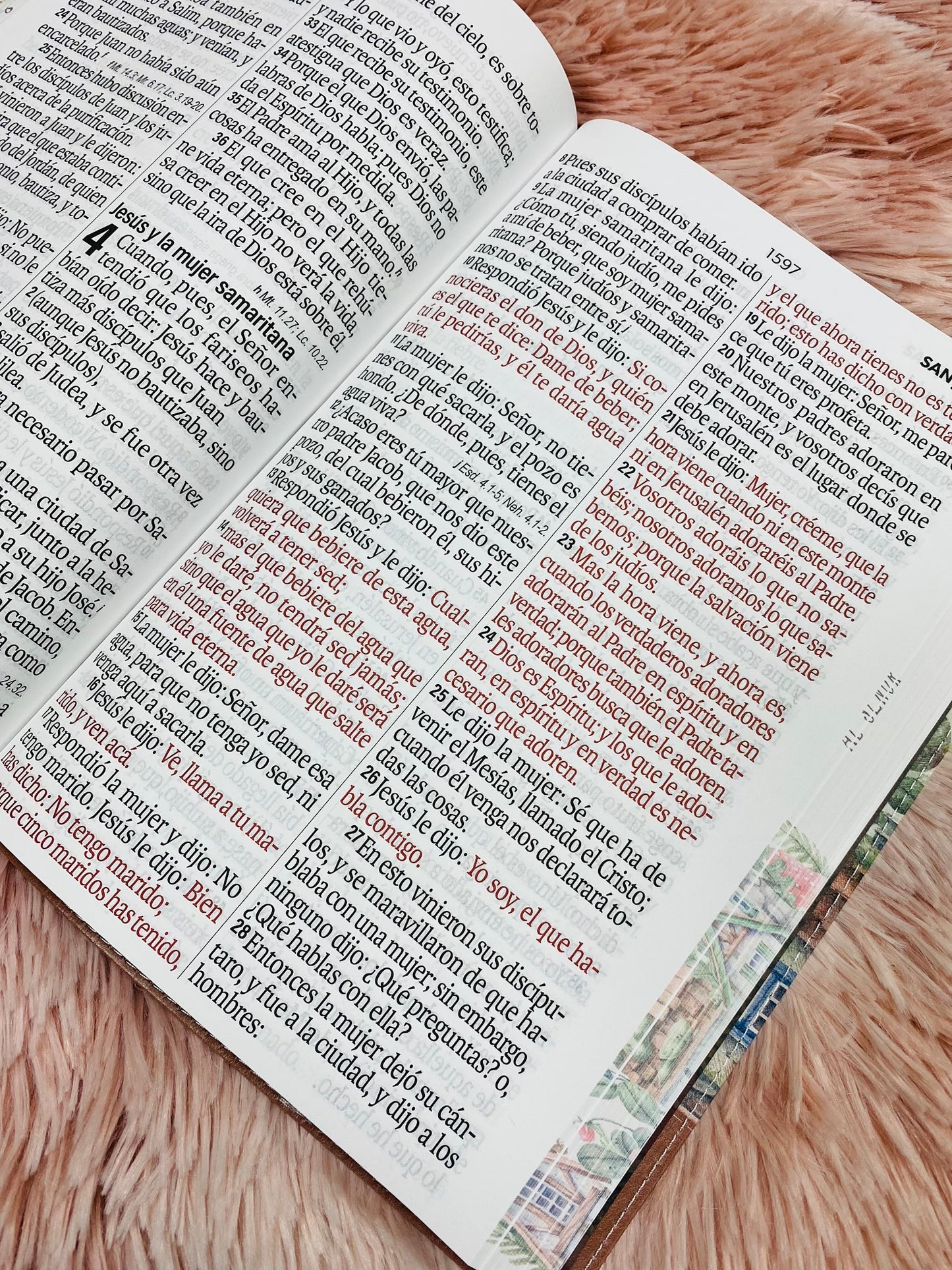 Biblia letra súper gigante 19 puntos con canto pintado versión RV1960 con concordancia