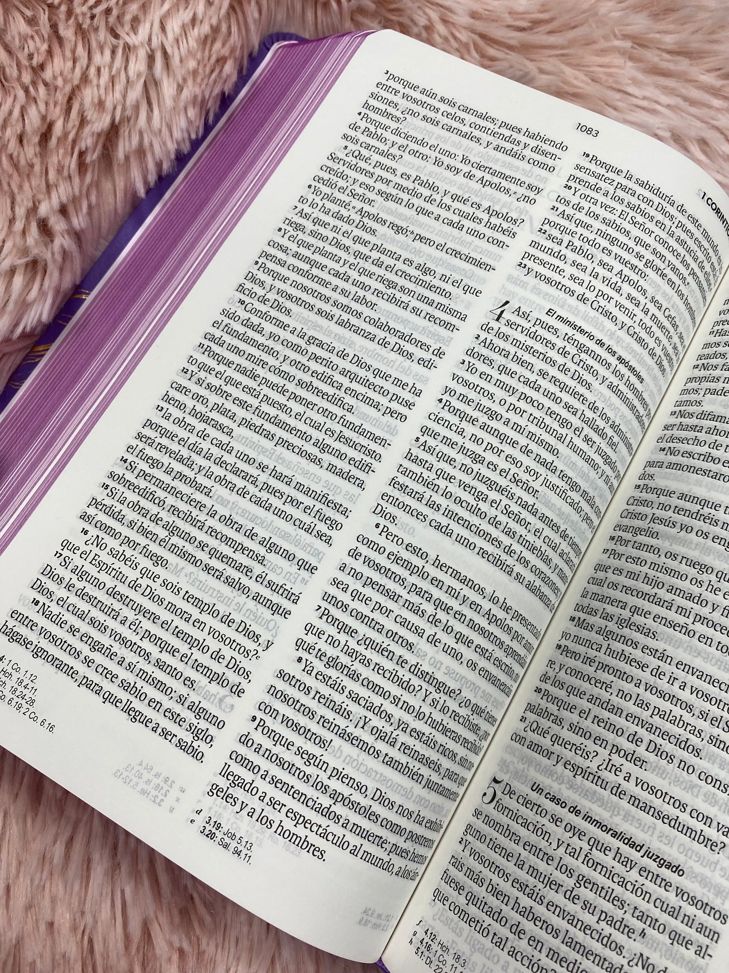 Biblia versión RV1960 en imitación piel de alta calidad letra grande 11,5 puntos y cierre canto pintado con concordancia y palabras de Jesús en rojo