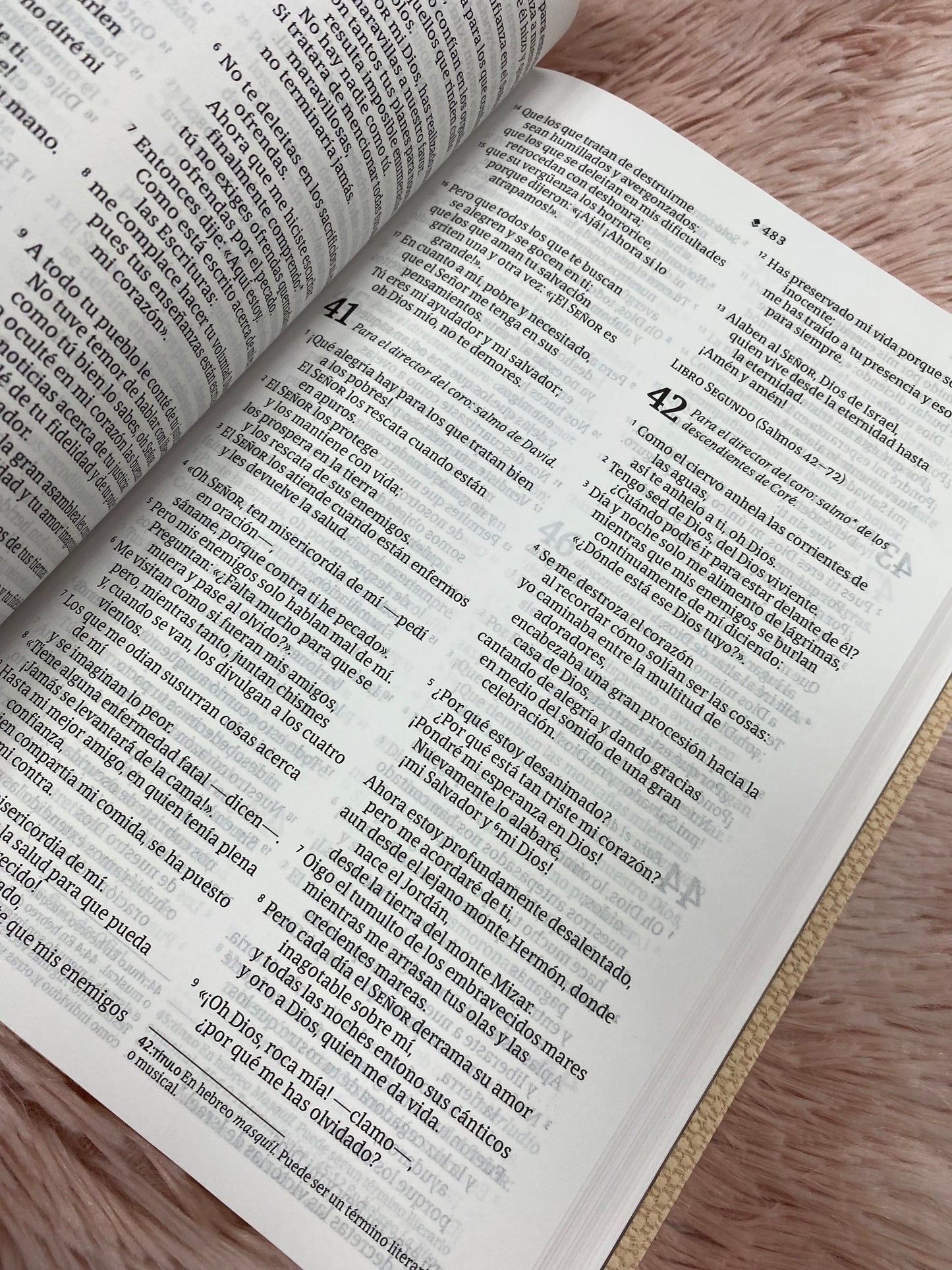 Biblia versión NTV de letra grande en símil piel