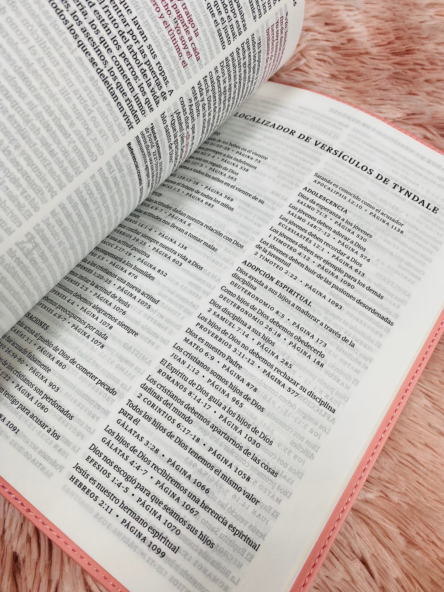 Biblia ultrafina de versión NTV en símil piel letra grande 10,25 de canto dorado con concordancia y palabras de Jesús en rojo