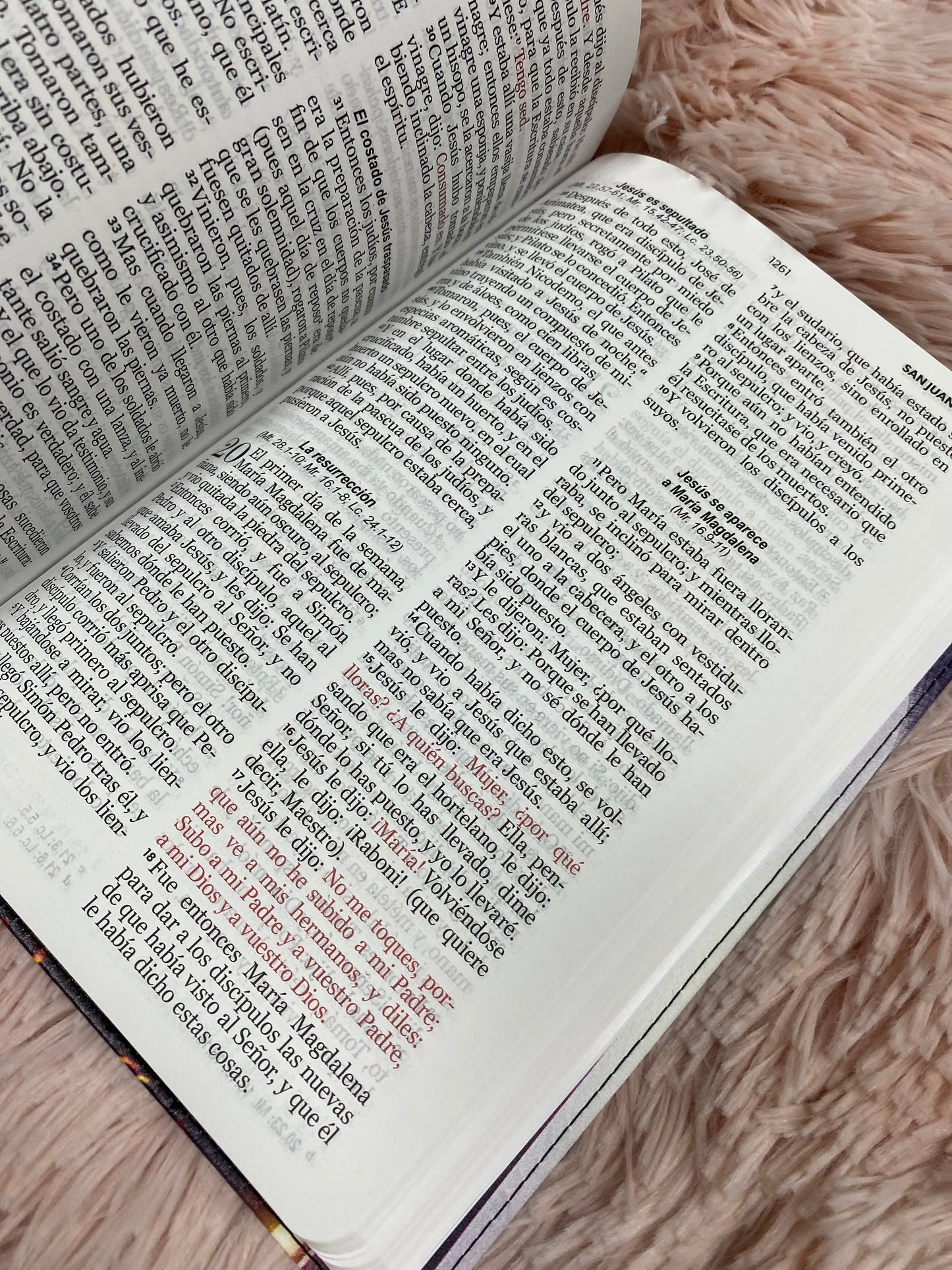 Biblia león de Judá letra grande 12 puntos tapa flexible versión RV1960 con palabras de Jesús en rojo y concordancia