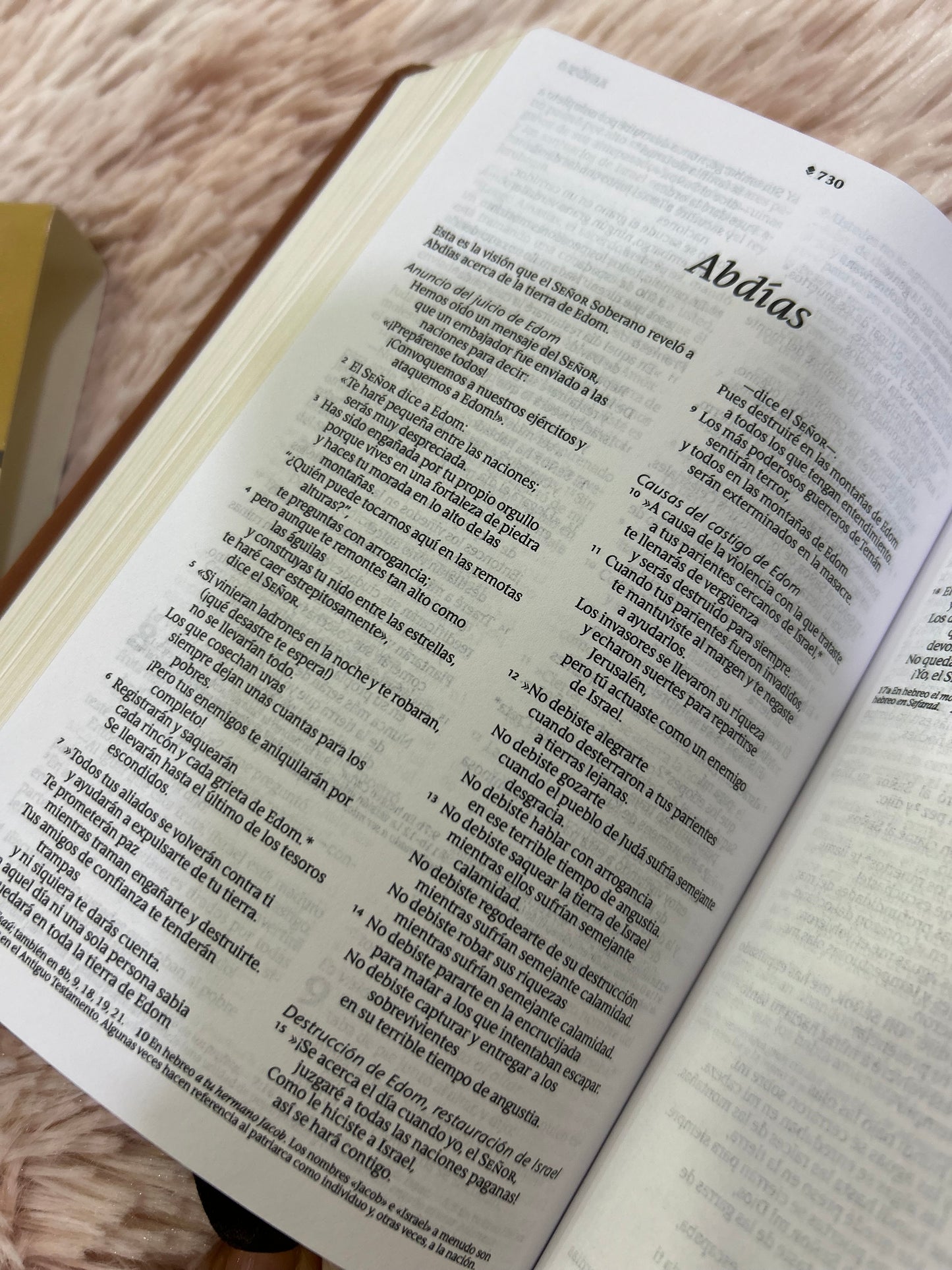 Biblia tamaño compacto de letra mediana semi piel con canto dorado versión NTV marrón