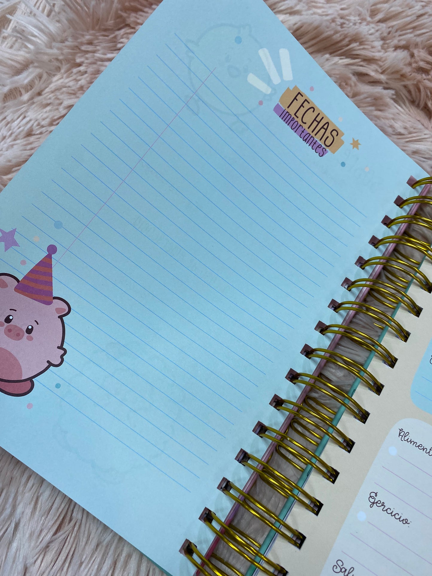 Agendas 2026 - Colección borlitas de espirales