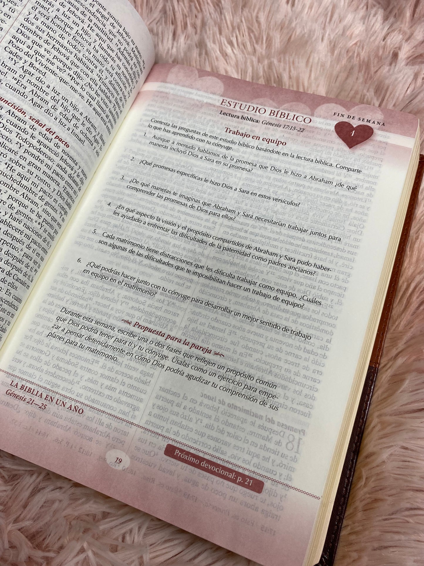 Biblia devocional los lenguajes del amor de Gary Chapman versión RV1960