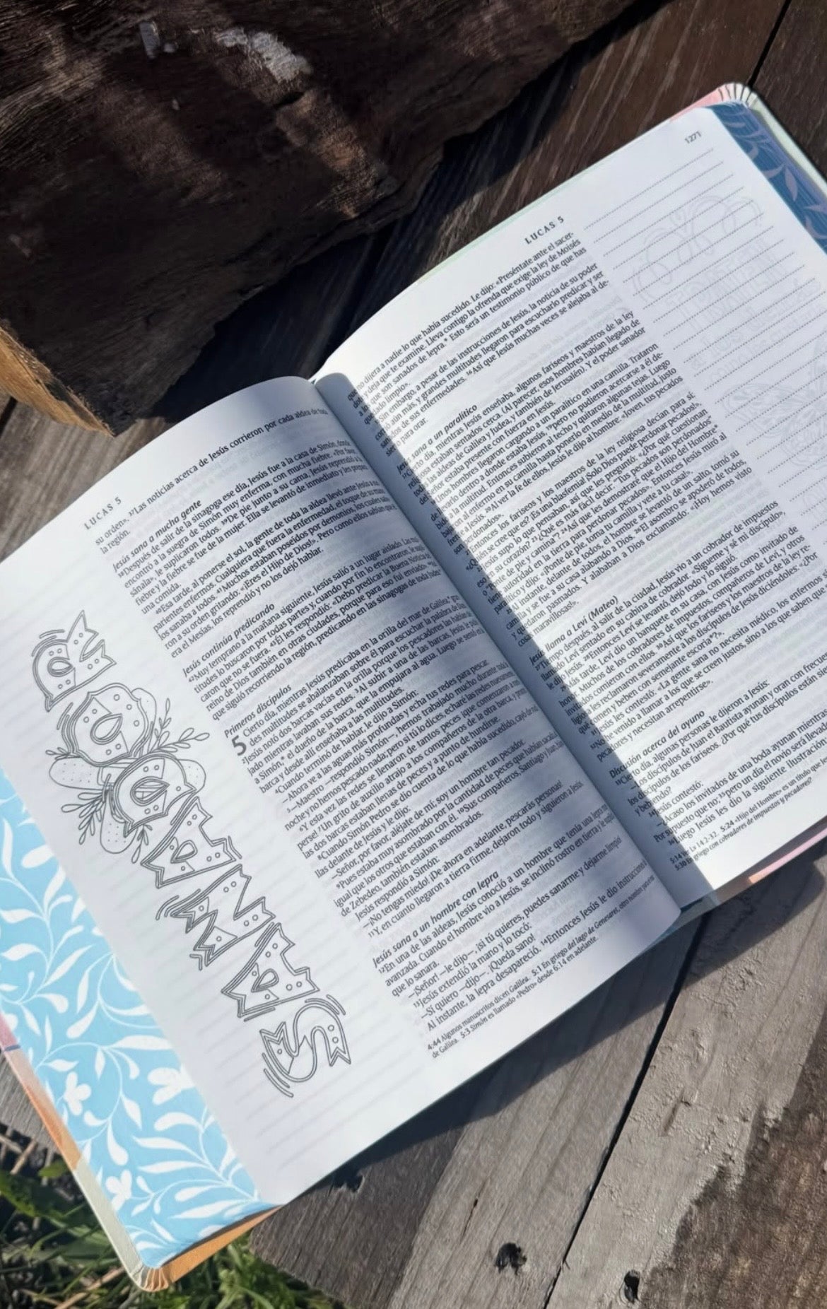 Biblia inspira artística de apuntes e ilustraciones versión NTV letra mediana
