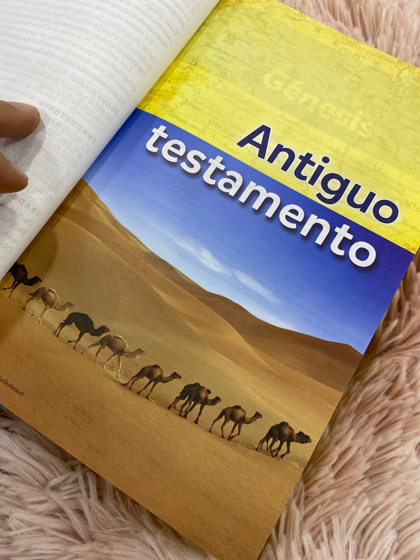 Biblia visual de estudio para niños versión NBLA