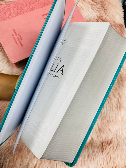 Biblia letra extra gigante 19 puntos con canto plateado símil piel y concordancia