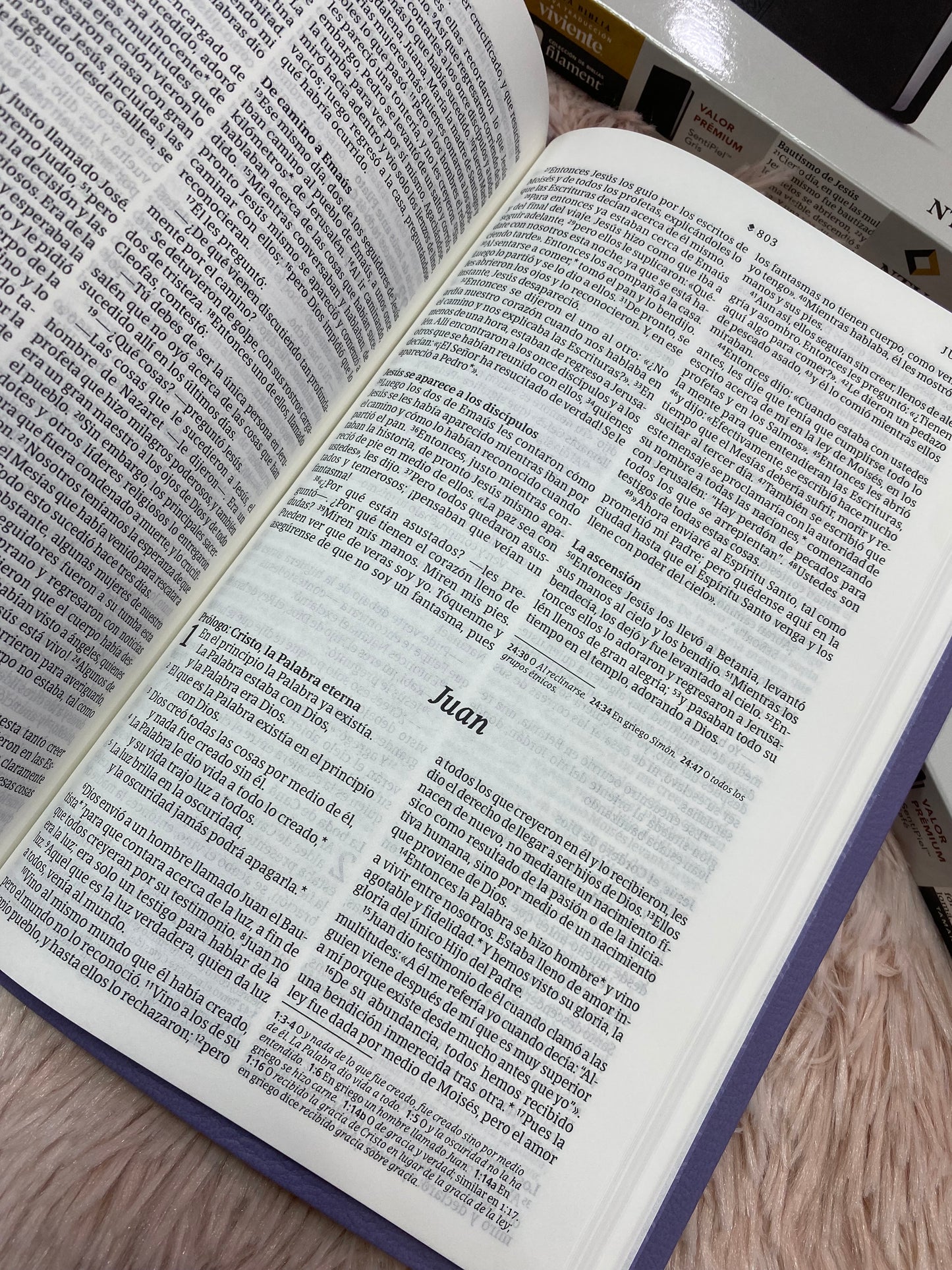 Biblia ultra delgada en símil piel letra mediana versión NTV: nueva traducción viviente