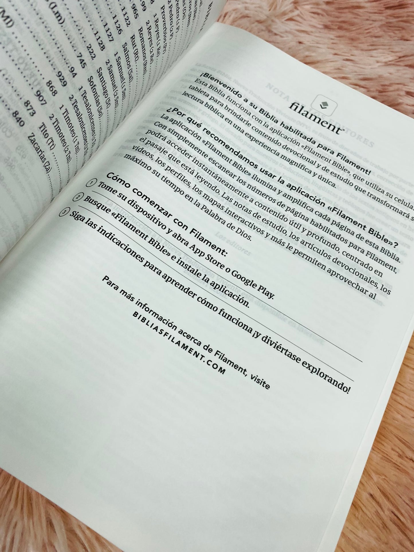 Biblia ultrafina de versión NTV en símil piel letra grande 10,25 de canto dorado con concordancia y palabras de Jesús en rojo