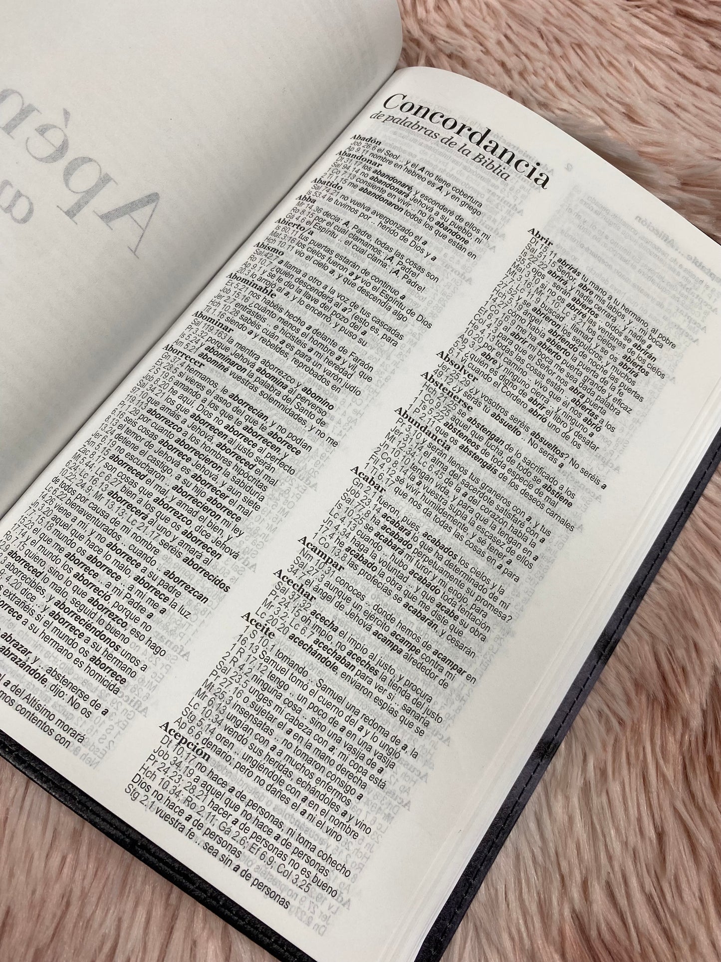 Biblia león de Judá letra grande 12 puntos tapa flexible versión RV1960 con palabras de Jesús en rojo y concordancia
