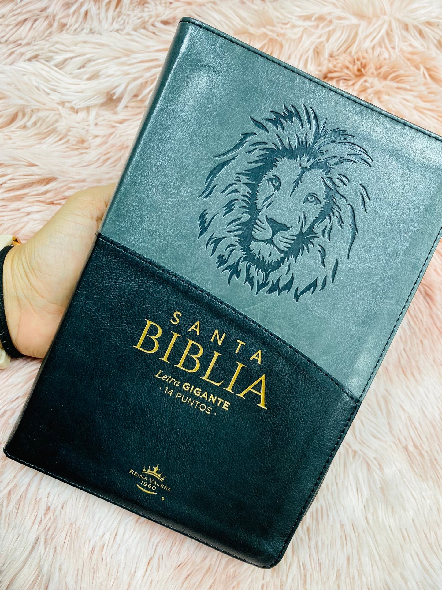Biblia letra gigante 14 puntos símil piel versión RV1960 con cierre e índice y concordancia