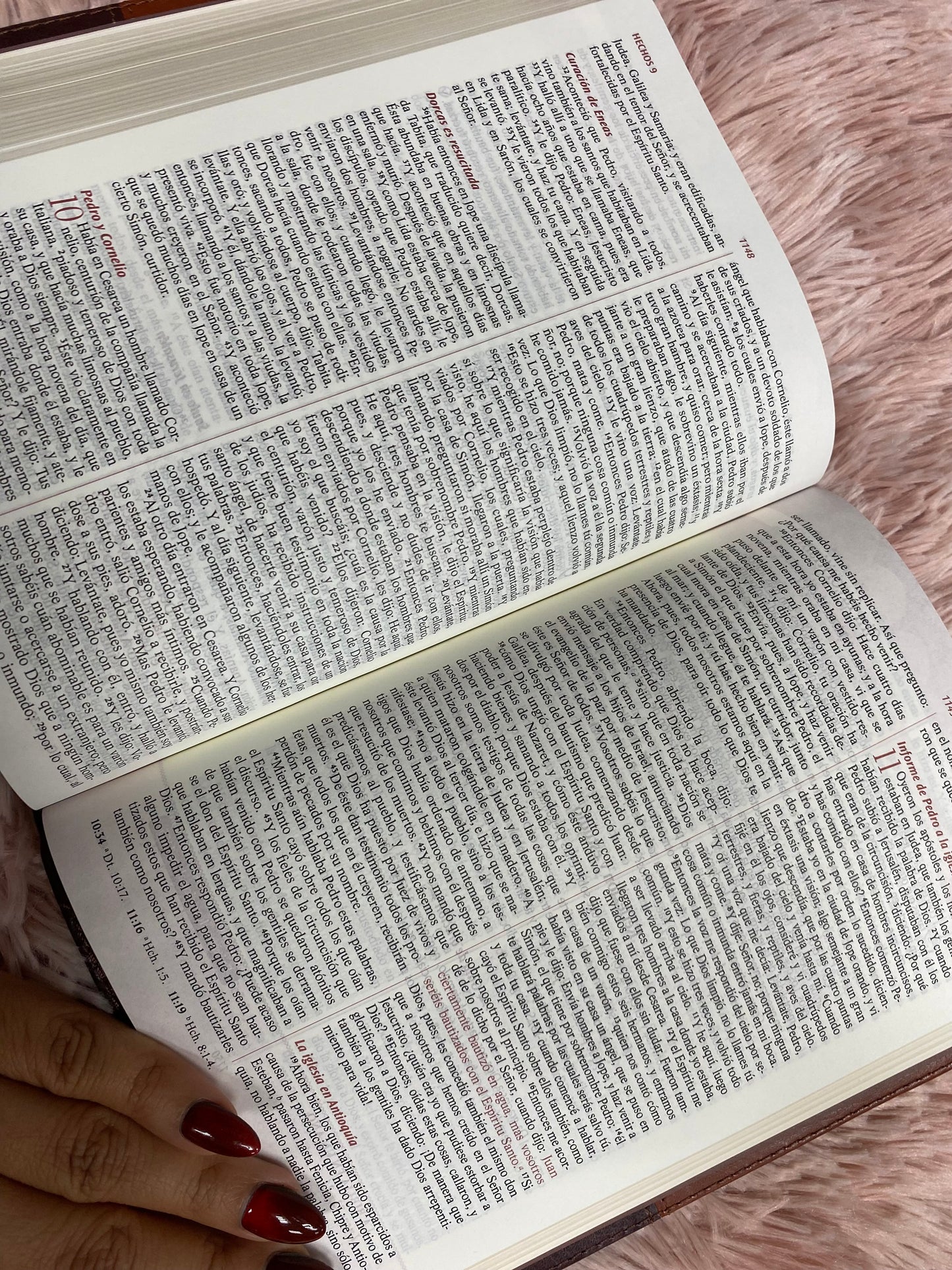 Biblia devocional los lenguajes del amor de Gary Chapman versión RV1960