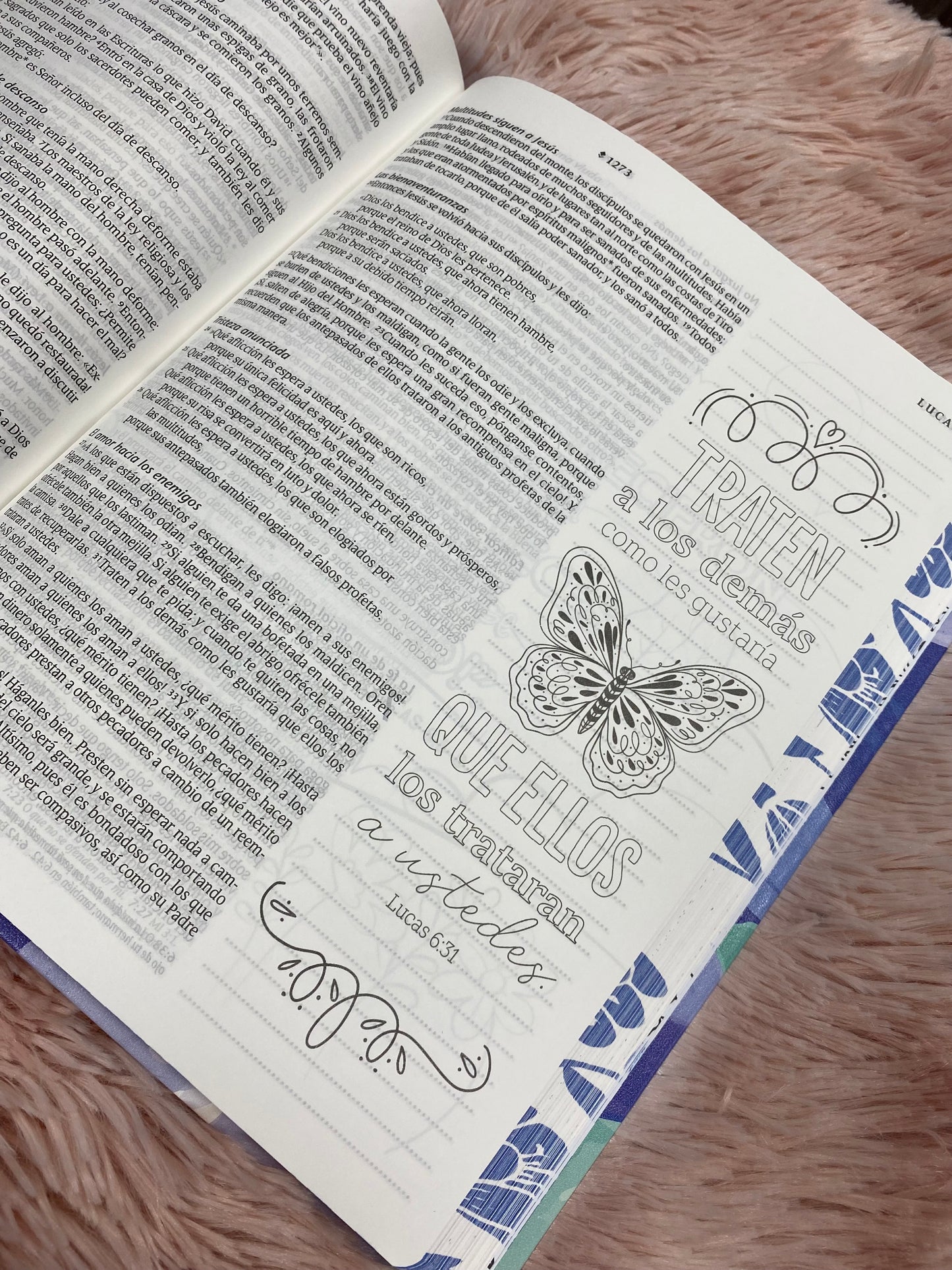 Biblia inspira artística versión NTV de letra grande