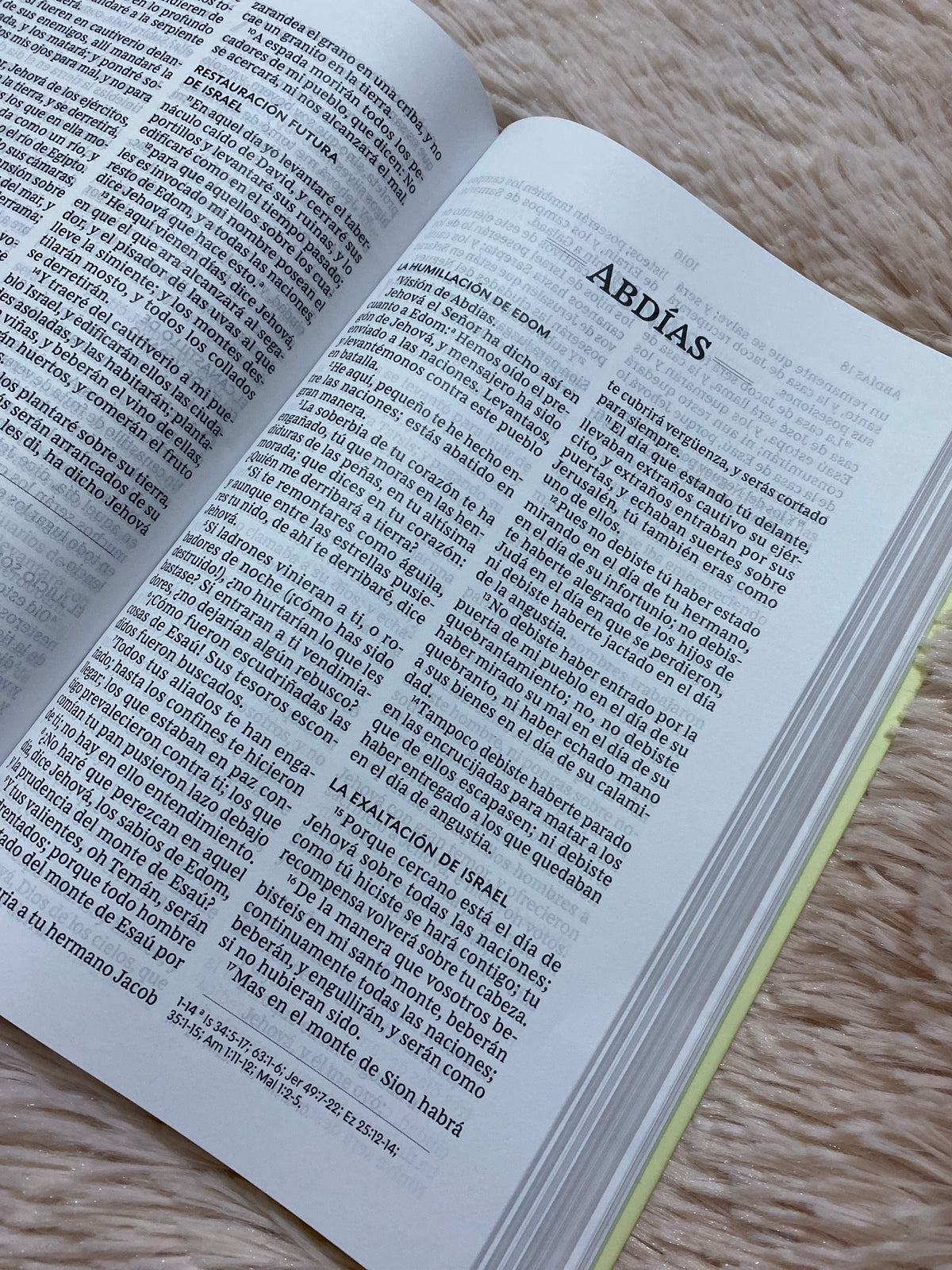 Biblia tapa dura letra grande versión RV1960 con concordancia papel blanco