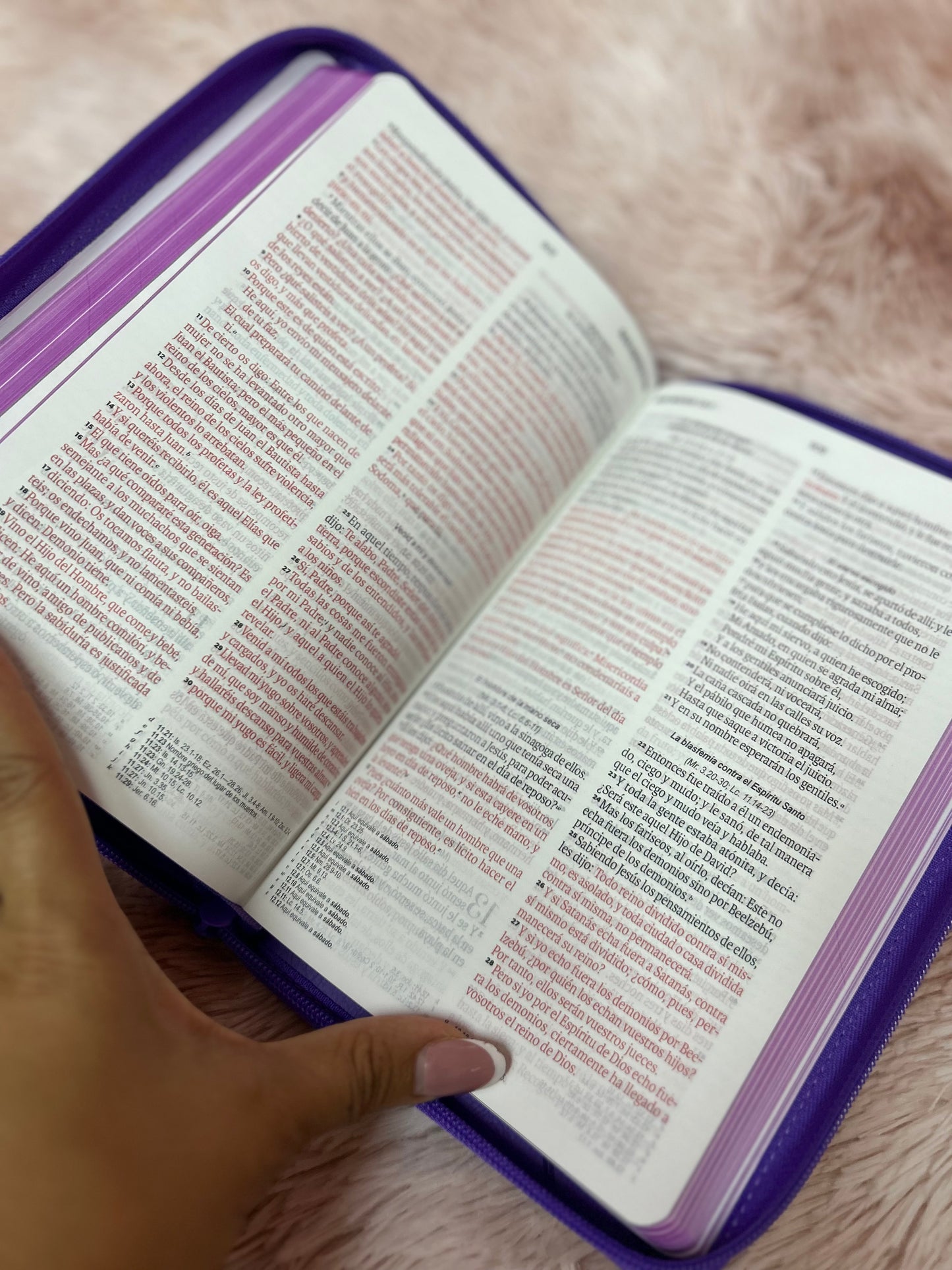 Biblia de letra grande 11,5 puntos con cierre en símil piel canto pintado palabras de Jesús en rojo y concordancia