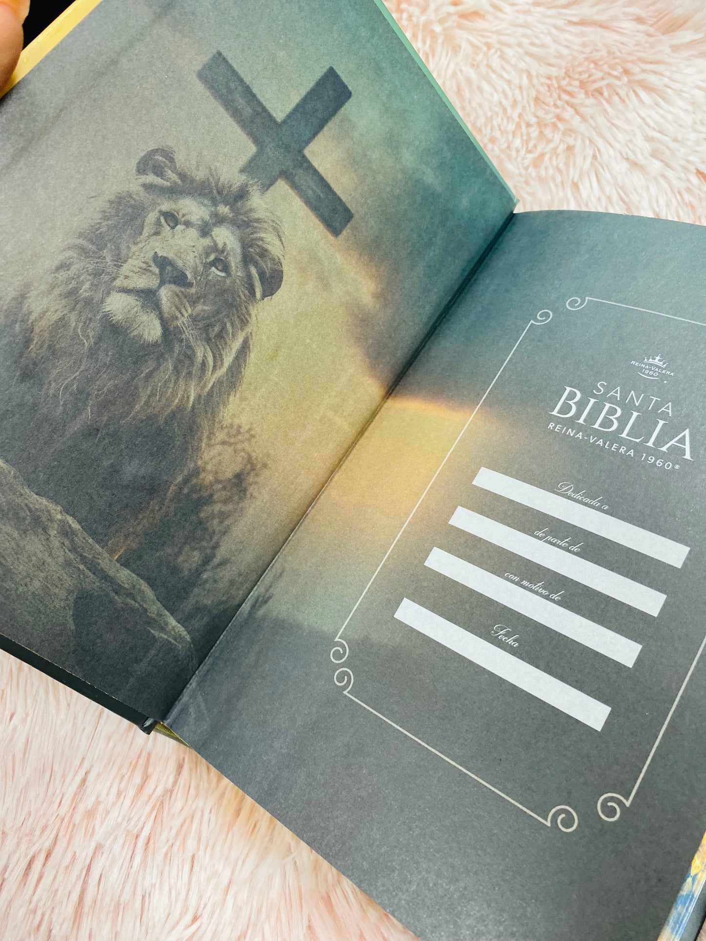 Biblia versión RV1960 de tapa dura diseño en relieve de letra grande 12 puntos con canto pintado, liga, palabras de Jesús en rojo con concordancia