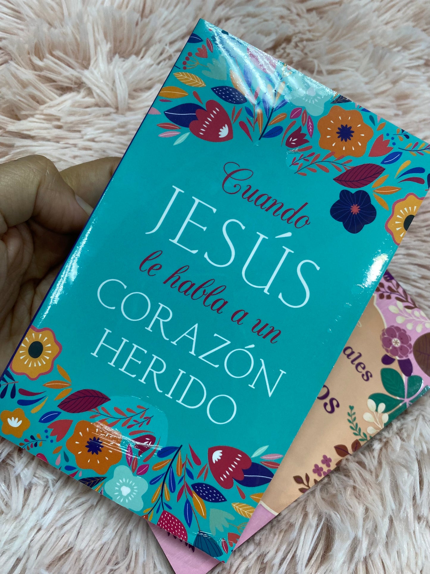 Libro de oración: cuando Jesús le habla a un corazón herido