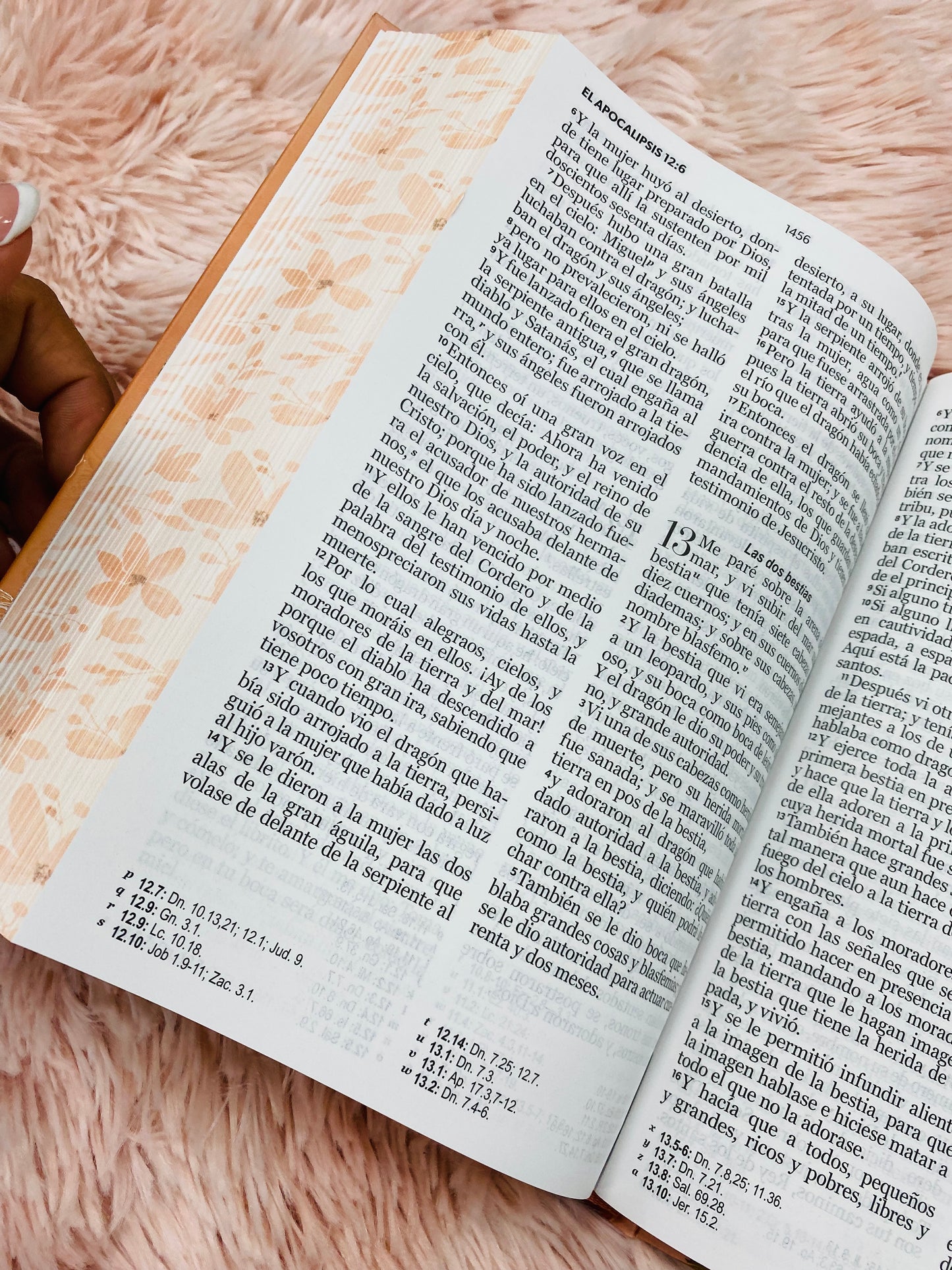 Biblia versión RV1960 de tapa dura diseño en relieve de letra grande 12 puntos con canto pintado, liga, palabras de Jesús en rojo con concordancia